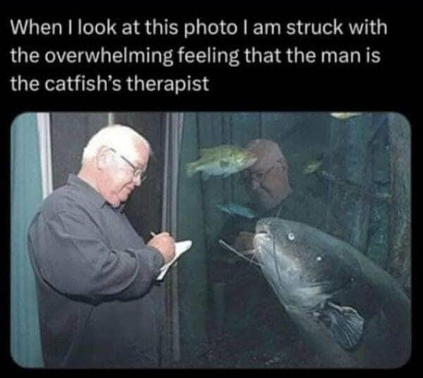 Auto-generated description: A man appears to be taking notes while observing a large catfish through an aquarium window, accompanied by humorous text suggesting he looks like the fish’s therapist.