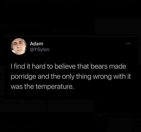 Screenshot of (apparently) a tweet: "I find it hard to believe that bears made porridge and the only thing wrong with it was the temperature." By "Adam" @YSylon