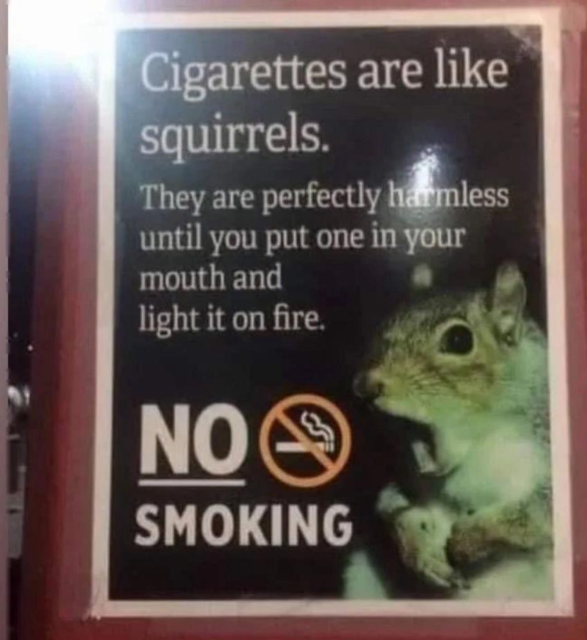 A sign with a humorous comparison between cigarettes and squirrels, stating that both are harmless unless put in the mouth and set on fire, accompanied by an image of a squirrel and a ‘No Smoking’ symbol.