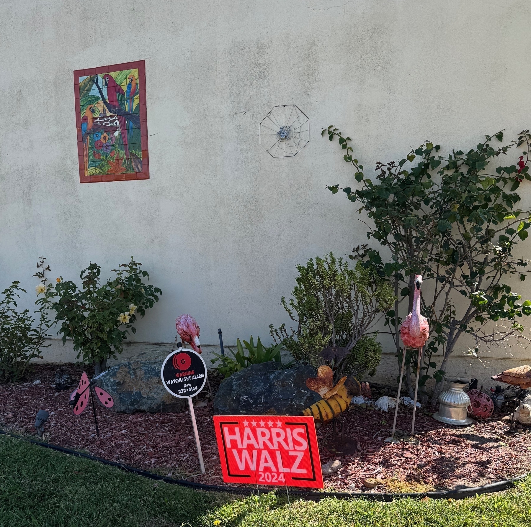 Lawn display of Harris-Walz sign, pink flamingo, and wall on the background with a mosaic with parrots