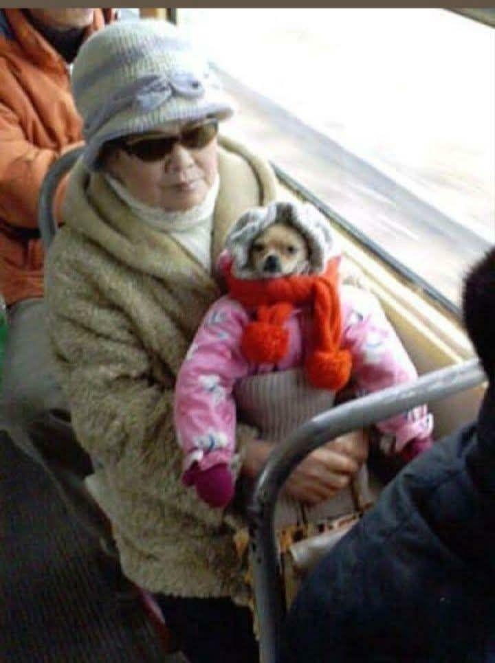 Pasted image 20251208212408.jpg