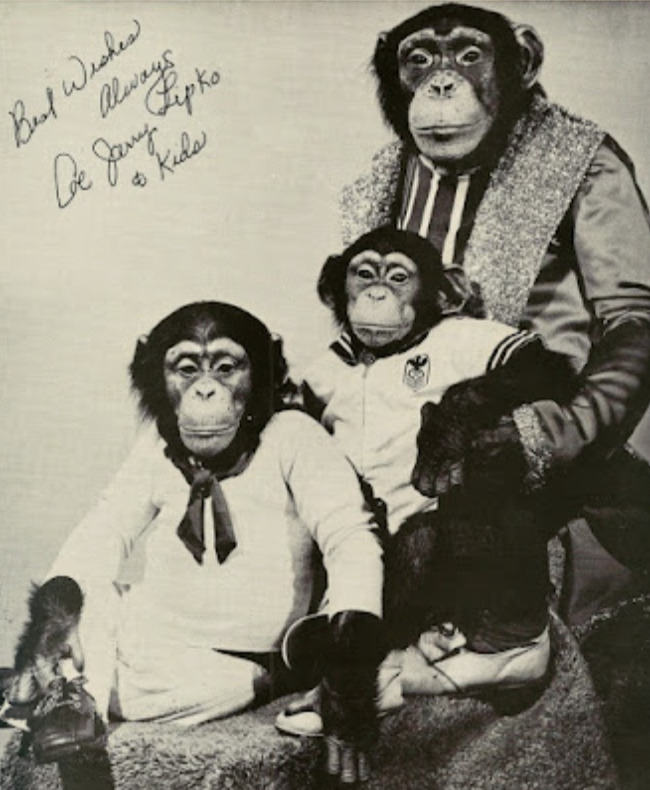 Pasted image 20251212214932.png