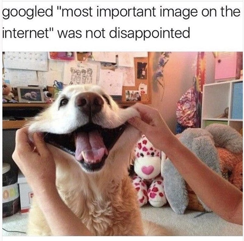 Pasted image 20251217084321.png