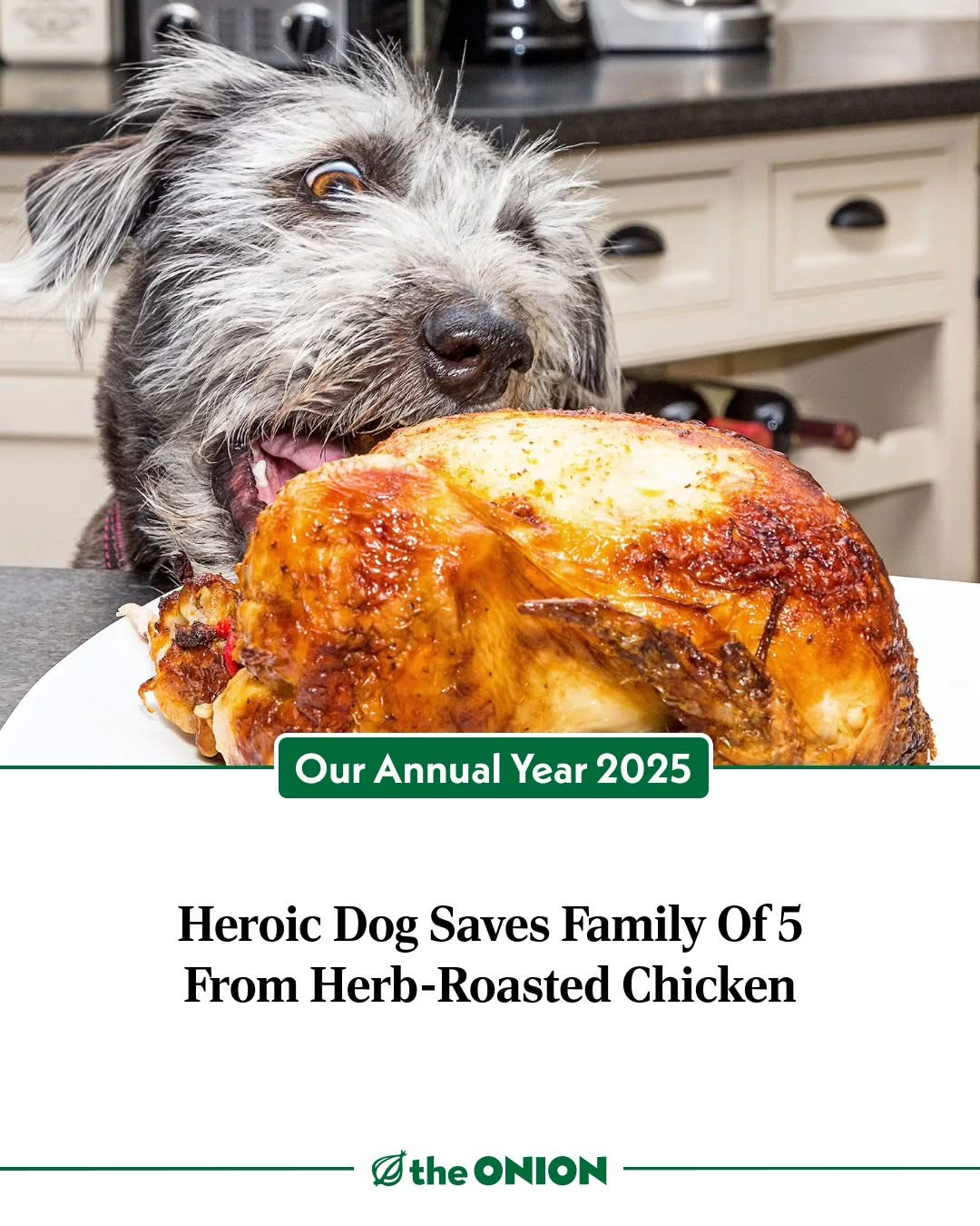 Pasted image 20251228225215.png