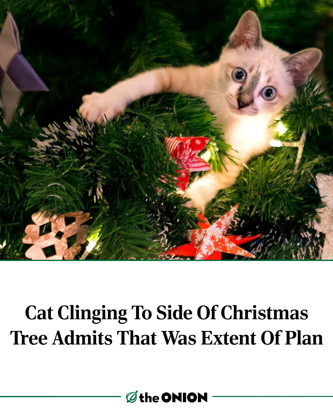 Pasted image 20251228231550.png