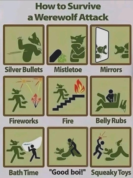 How to Survive.
