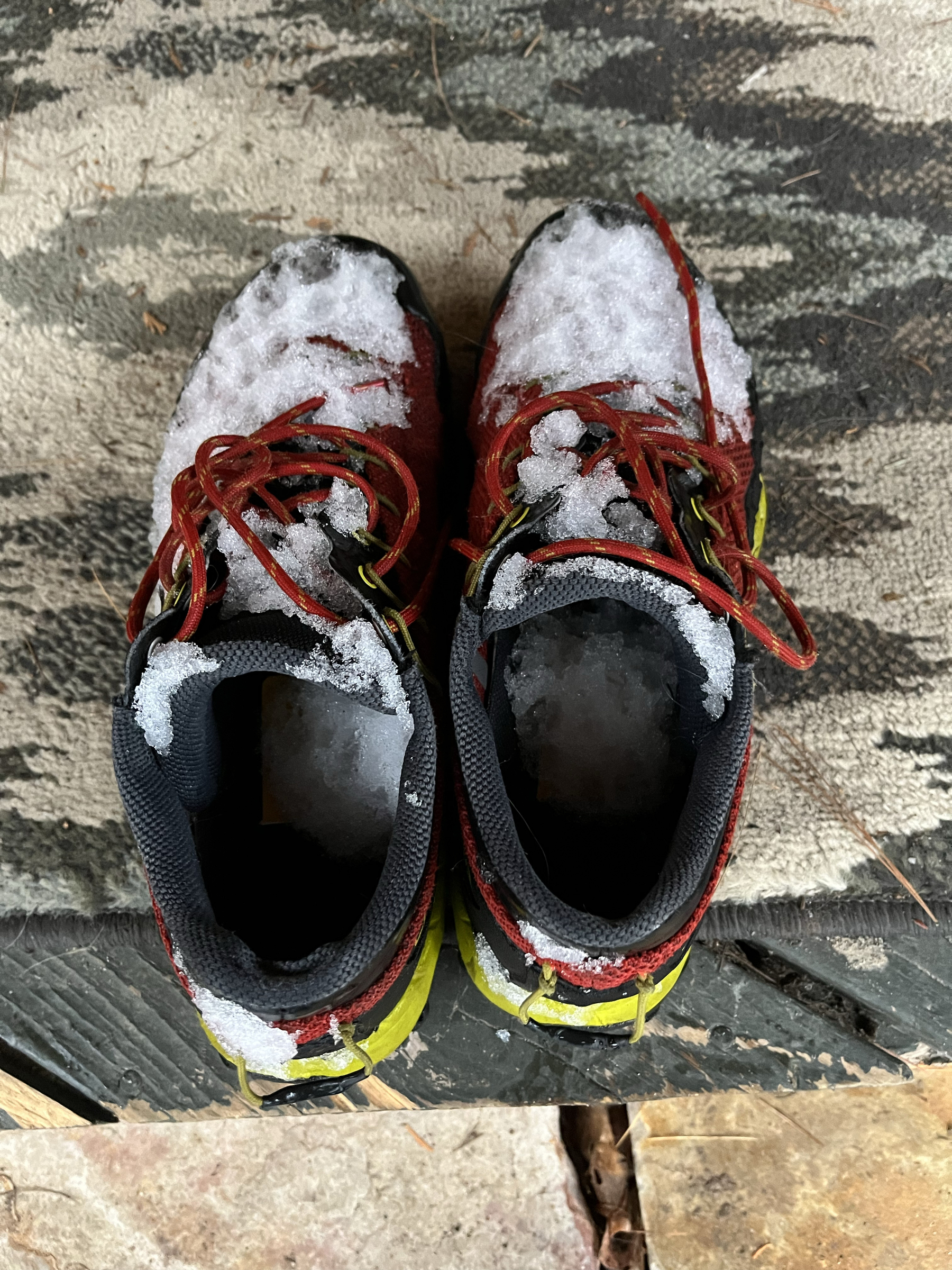 A pair of shoes soaked and covered in snow.