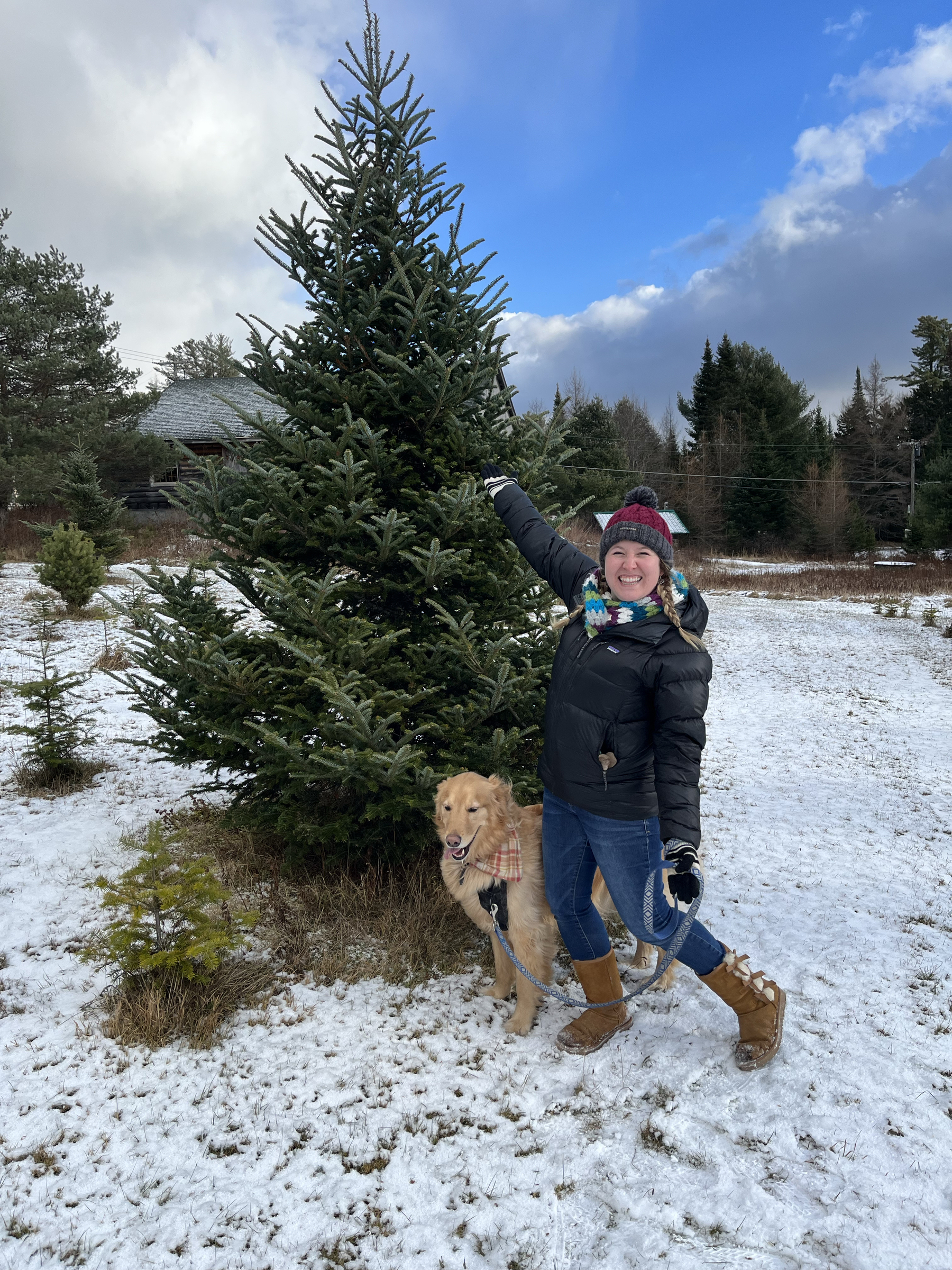 My wife and dog poising in front of a large spruce tree in a snowy Christmas tree farm.