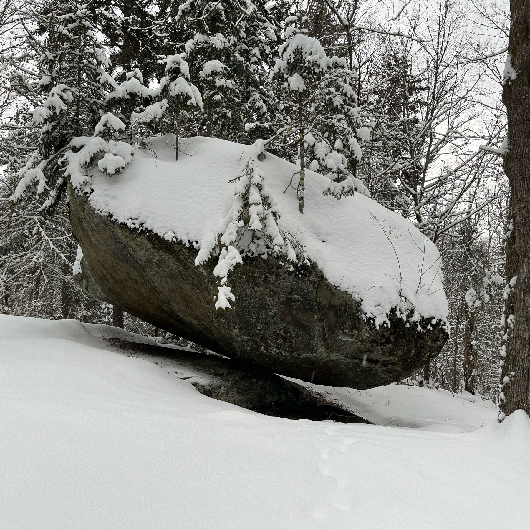 A giant bolder covered with snow and trees, balancing on a tiny bit of its underside.