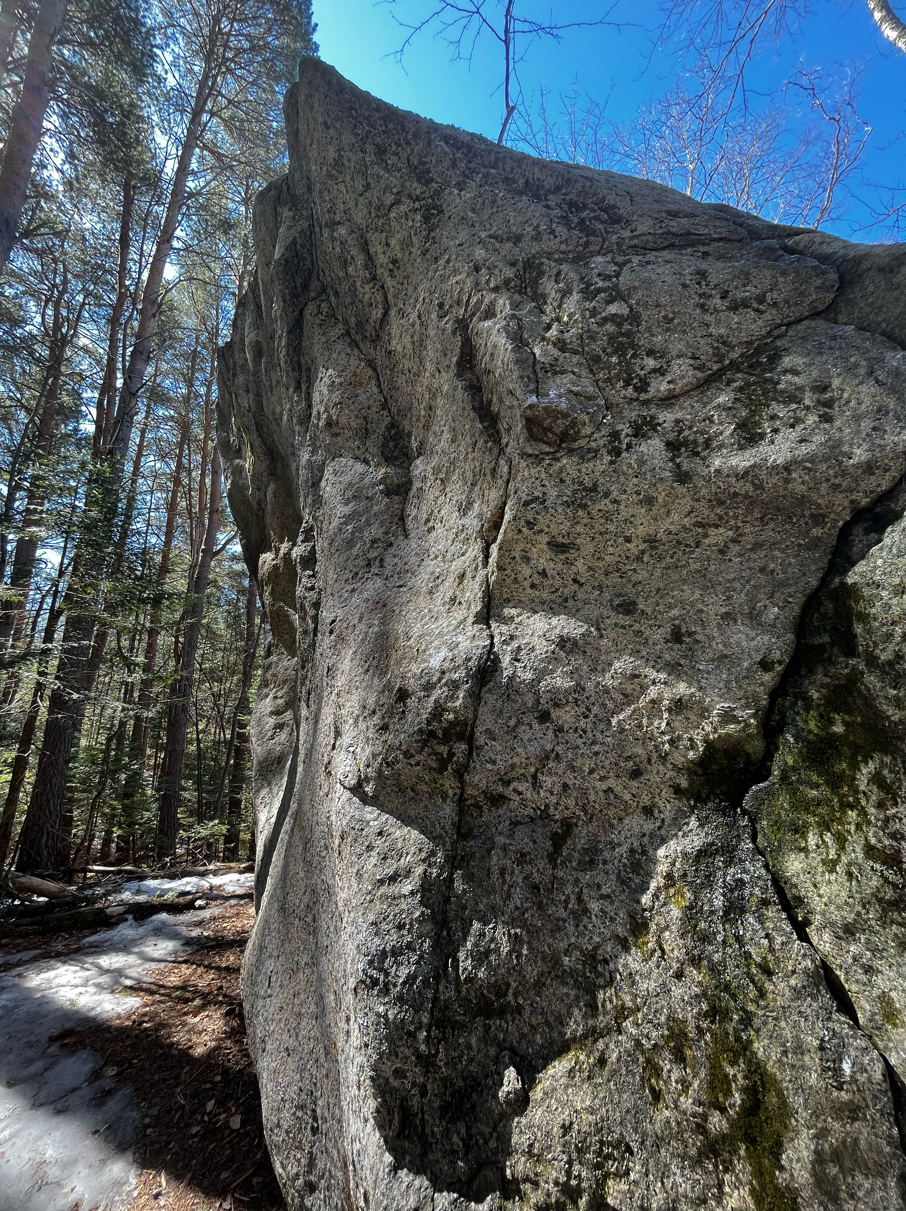 A tall boulder in the spring sunshine.