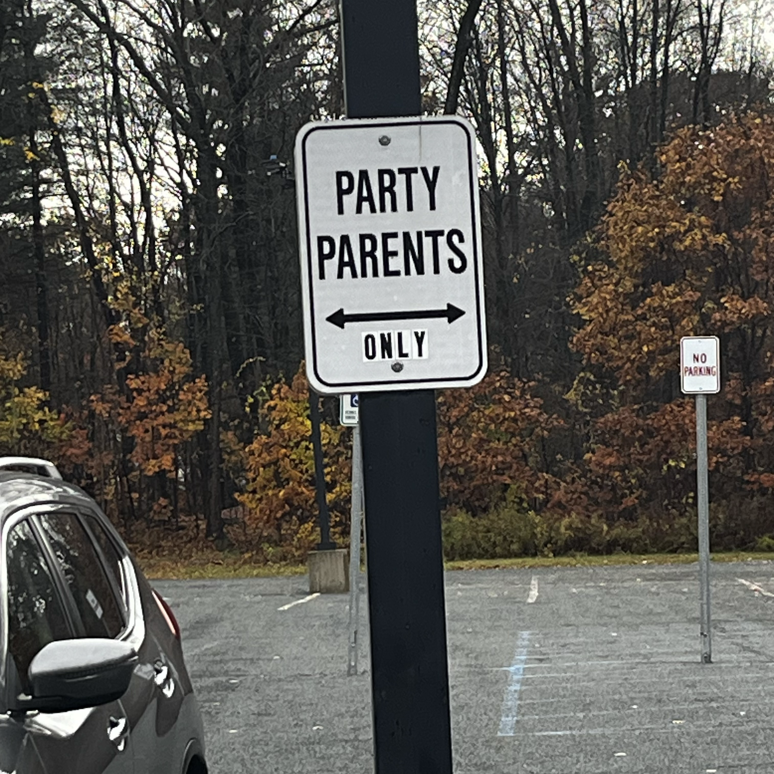 A parking sign for “party parents only”.