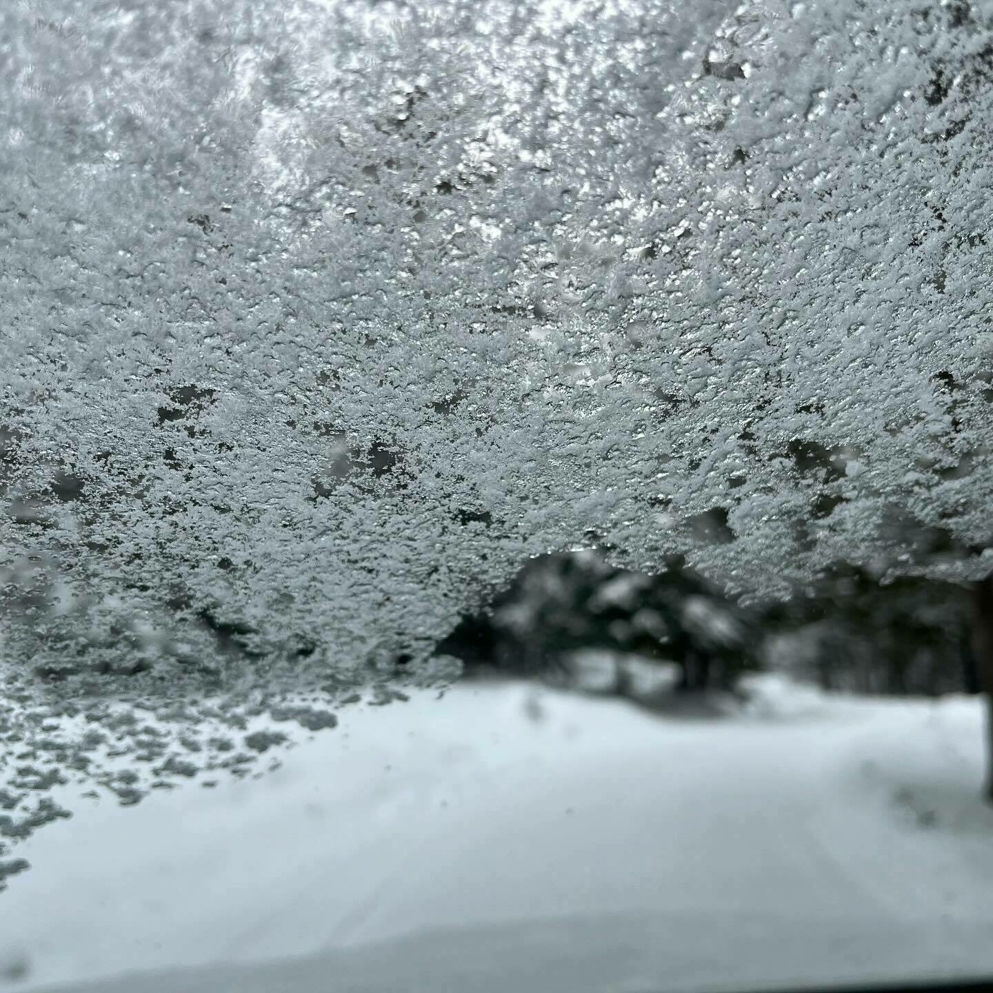The image shows a frost-covered window partially obscuring the view of a snowy landscape with trees, creating a frosted glass effect.
