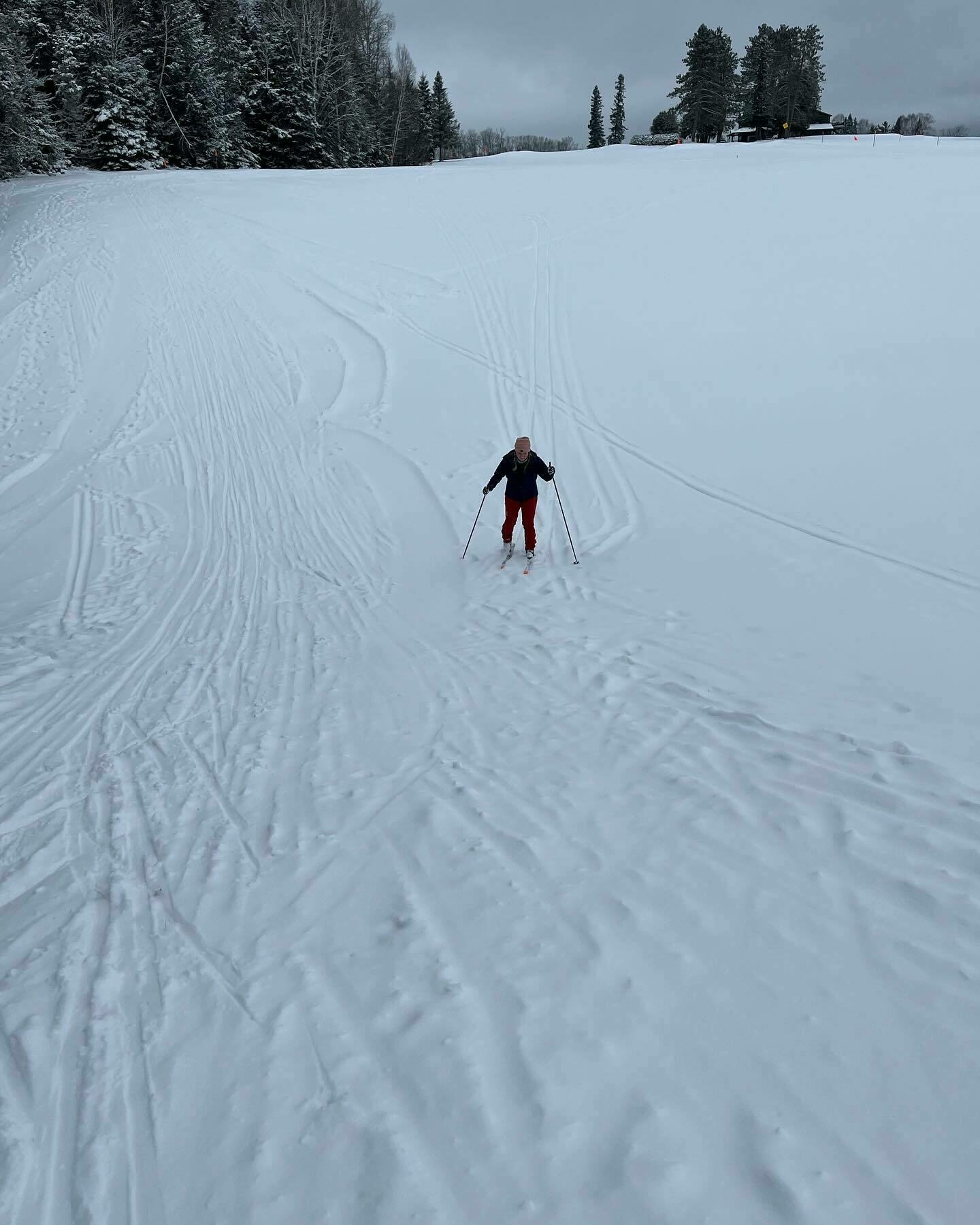 A person cross-country skiing on a snowy track with trees and overcast sky in the background.