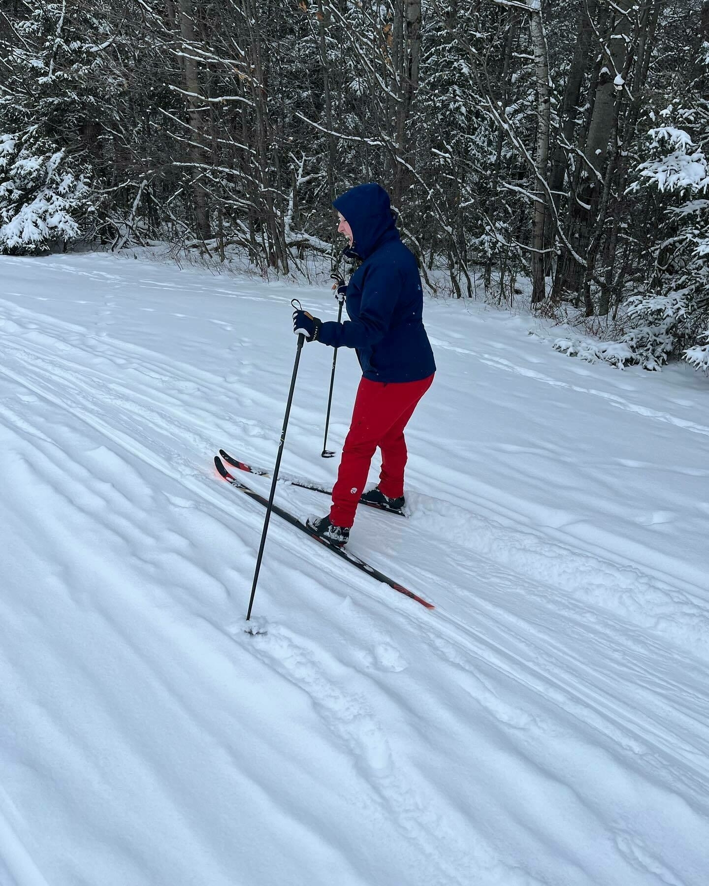 A person cross-country skiing on a snow-covered trail flanked by snow-laden evergreen trees. They&rsquo;re dressed warmly in a blue jacket and red pants.