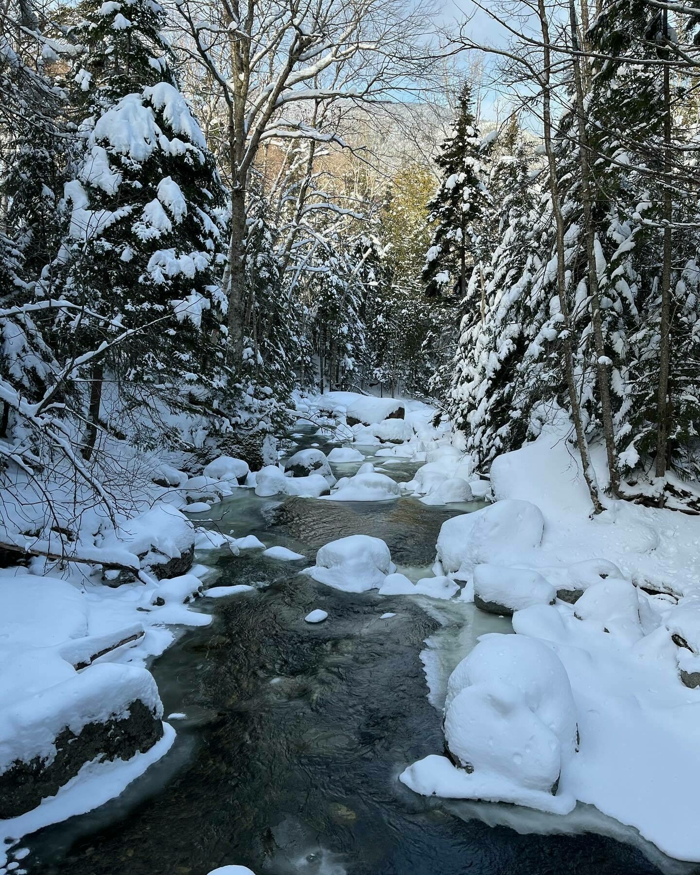 A snow-covered stream meanders through a dense, snowy forest under a clear sky.