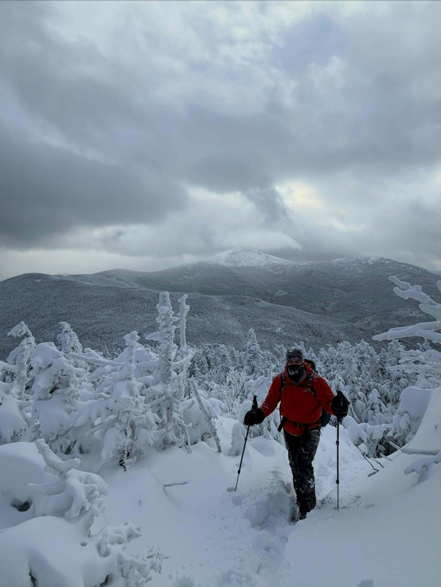 A person wearing a red jacket hikes through deep snow using trekking poles surrounded by snow-covered trees and mountainous terrain under a cloudy sky.