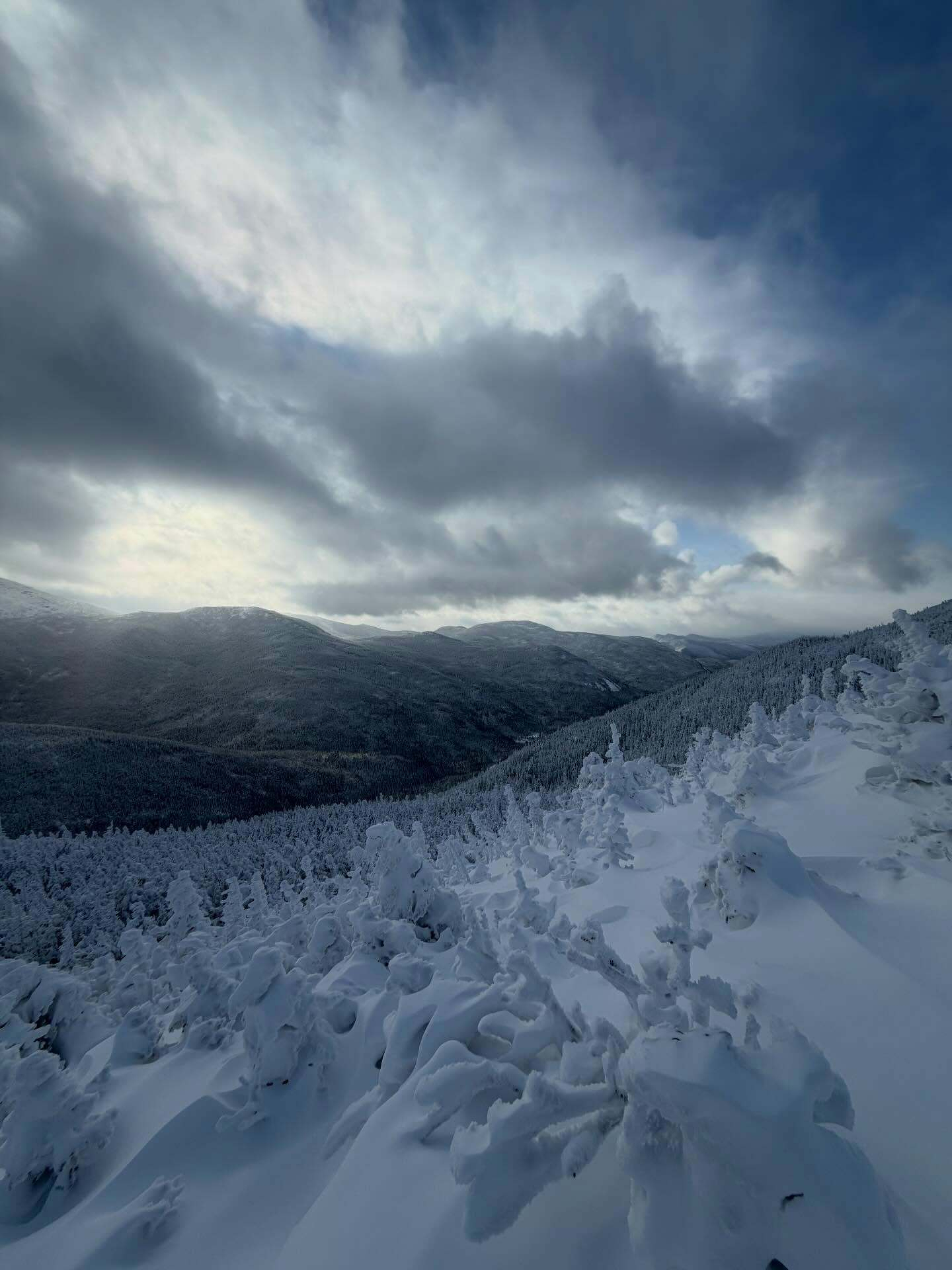 Snow-covered trees stand still, blanketing a mountainous landscape under a cloudy sky, creating a serene winter scene with layers of fluffy white snow amidst dark distant hills.