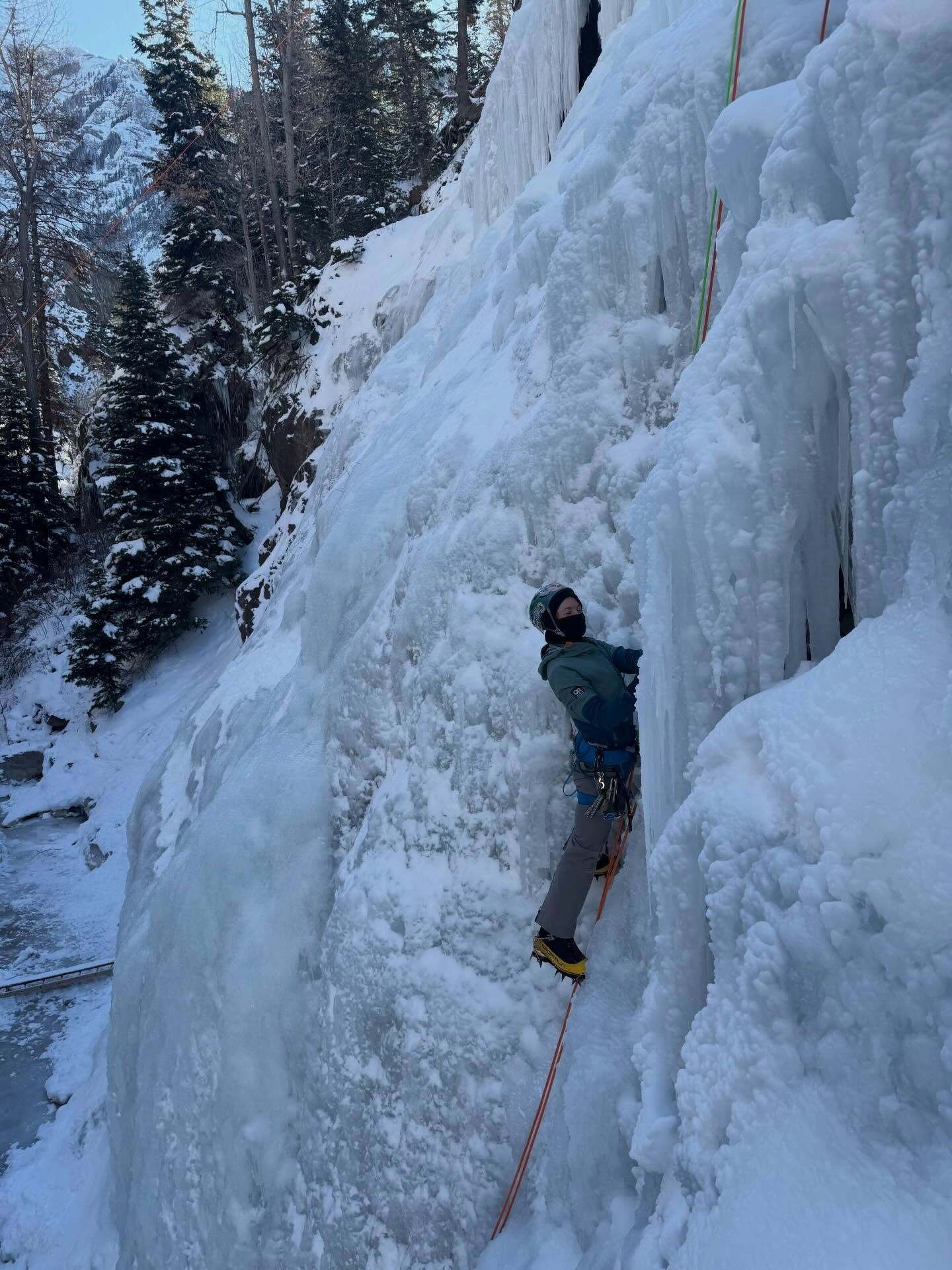 A climber ascends an icy cliff face using ropes in a snowy forested mountainous area with tall evergreen trees in the background.
