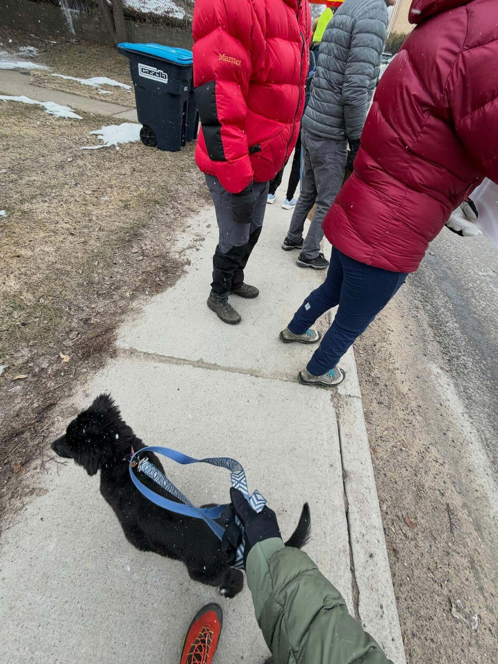 A black dog is held on a leash by a person in a green coat, surrounded by people wearing colorful jackets on a snowy sidewalk with a blue recycling bin nearby.