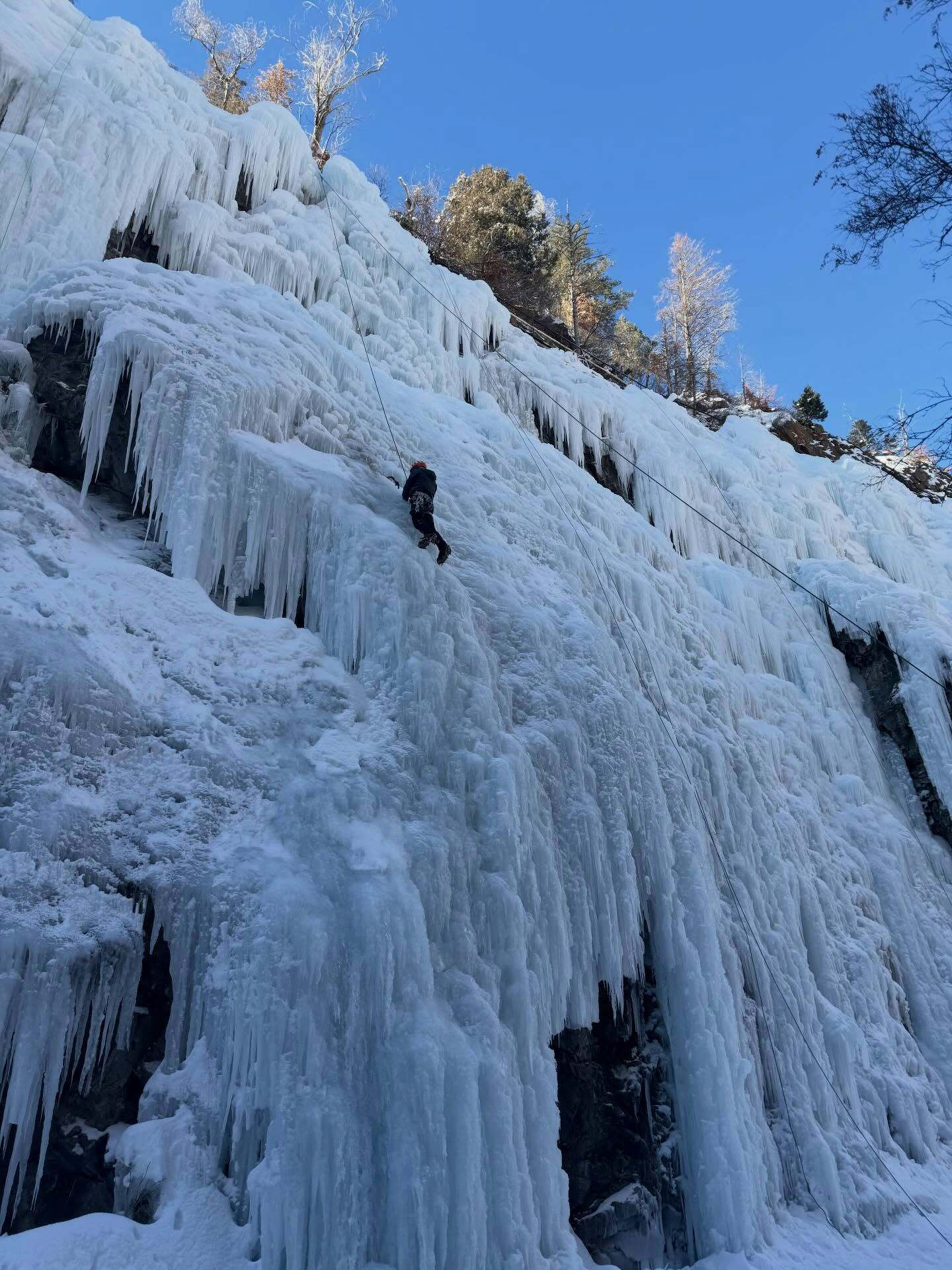 A person climbs a steep frozen waterfall using ropes amidst an icy landscape with sparse trees above under a clear blue sky.