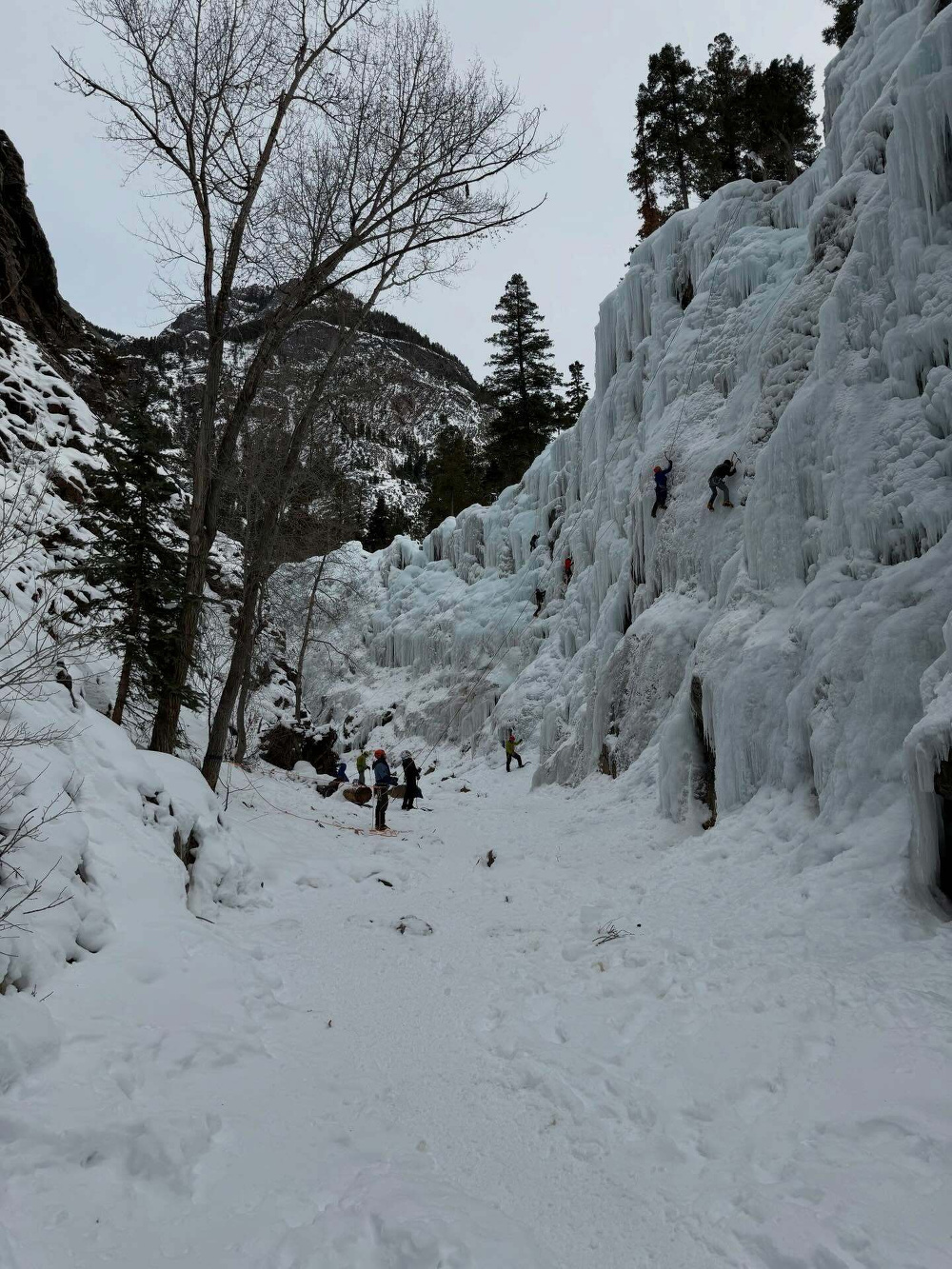 Climbers ascend a large ice-covered cliff. Several people stand at the base observing. Surrounding are snow-covered ground and trees in a mountainous area.