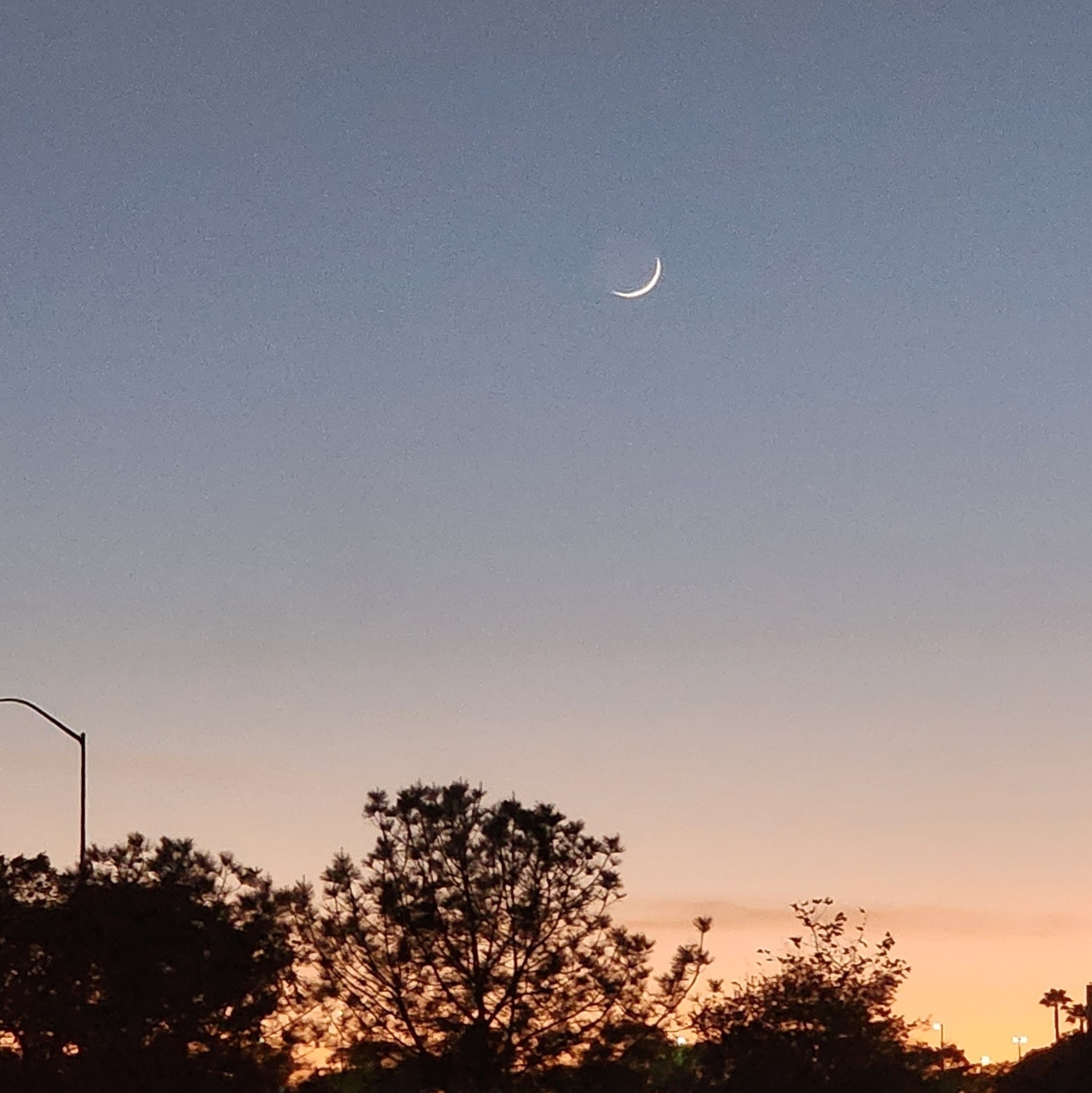 Crescent moon from the freeway, at dusk