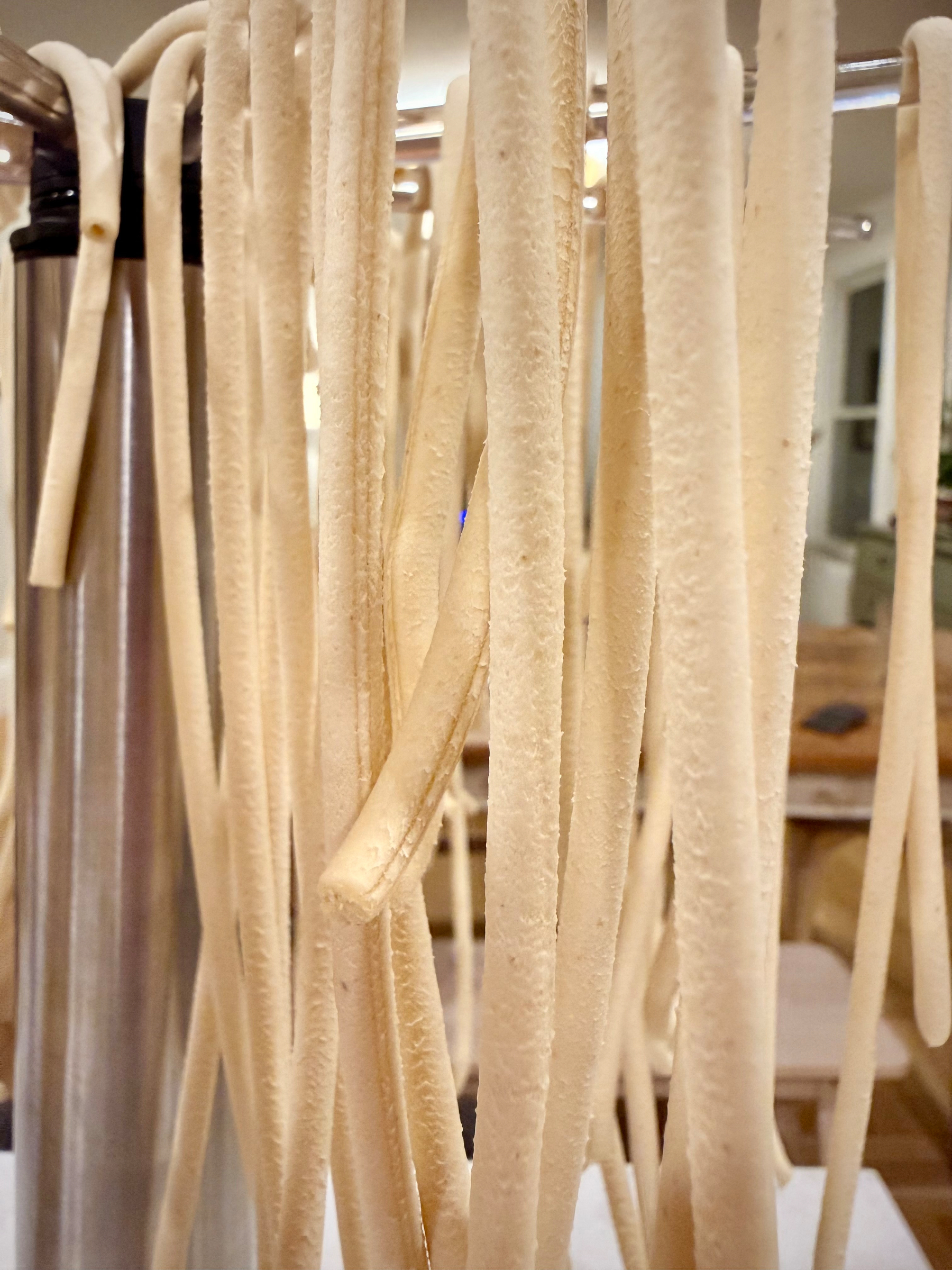 Long strands of fresh pasta hang vertically, drying on a pasta rack.