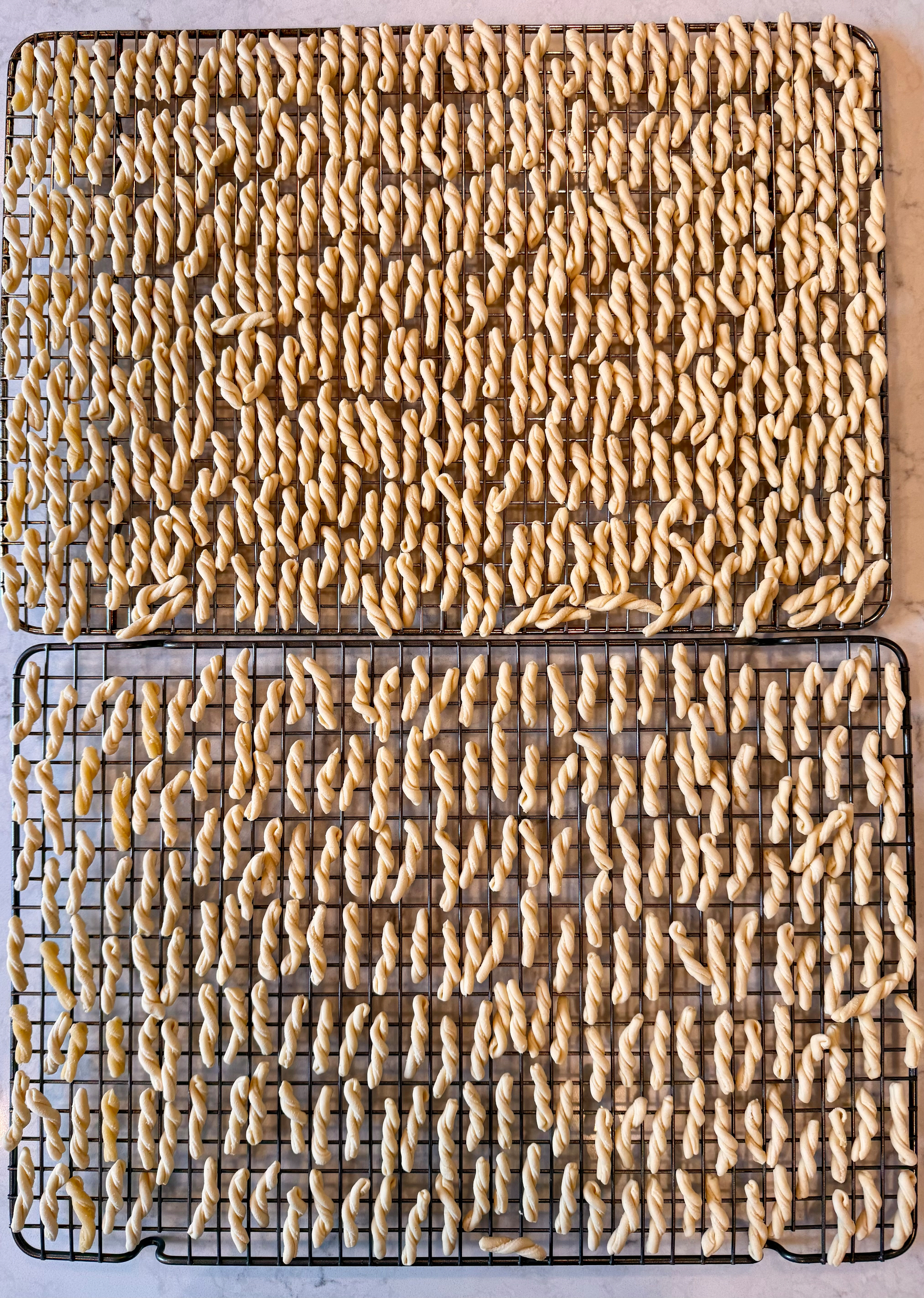 Two wire racks are filled with homemade pasta arranged neatly side by side.