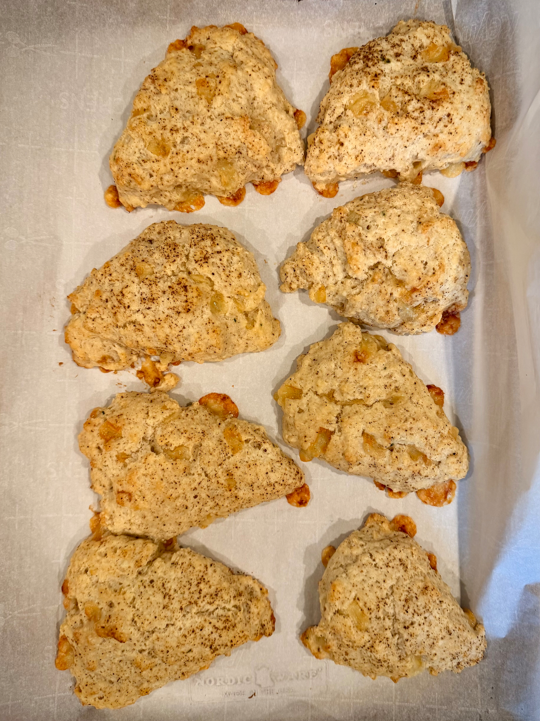 Eight freshly baked scones with a speckled topping are arranged on a parchment-lined baking sheet.