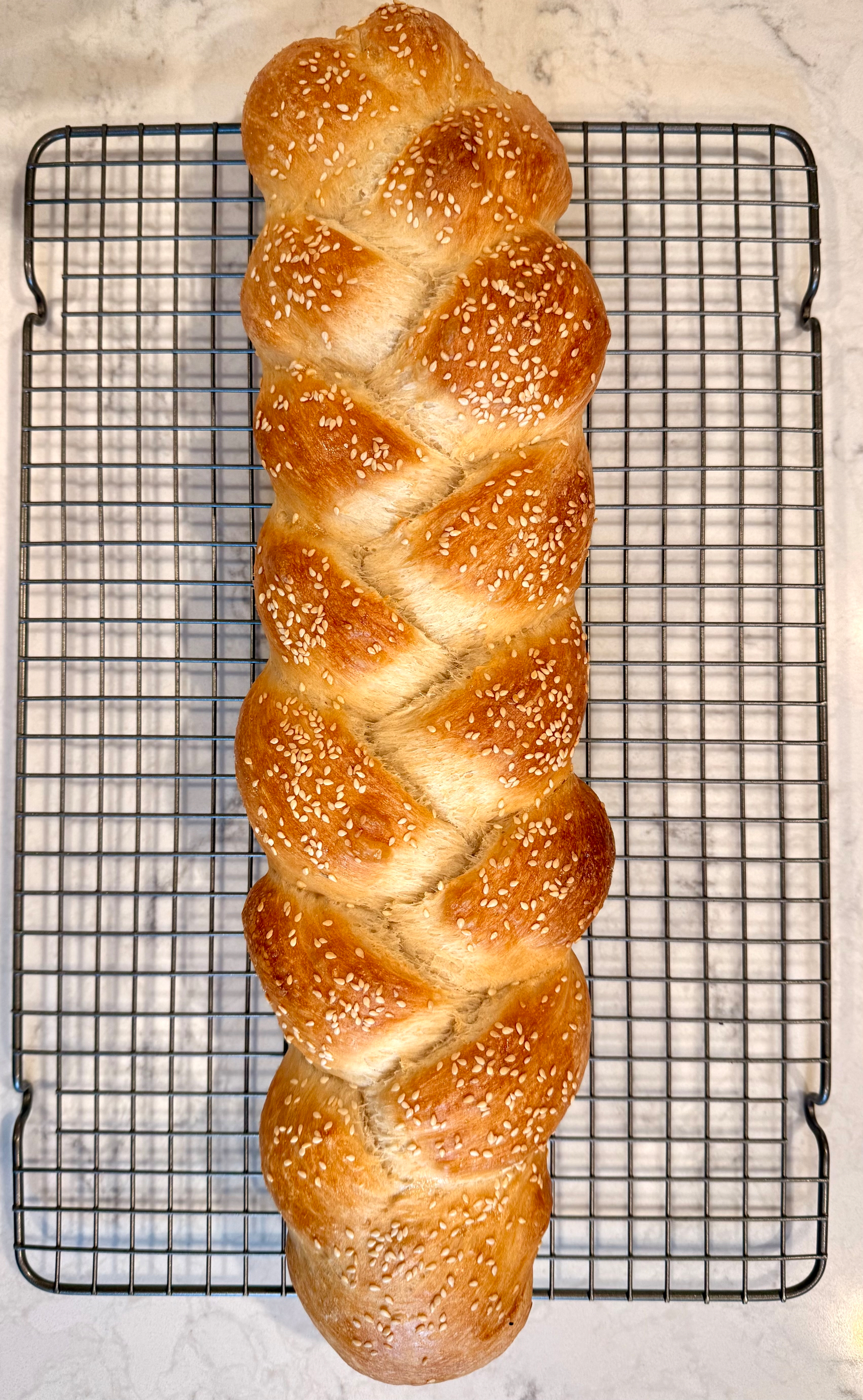 A freshly baked loaf of braided challah bread sprinkled with sesame seeds rests on a cooling rack.