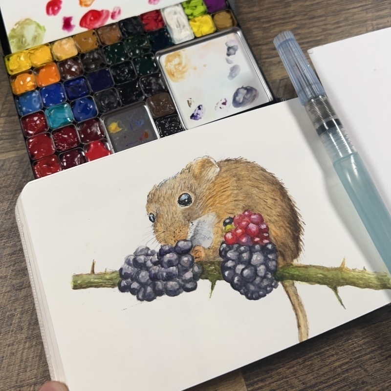 Harvest mouse and berries