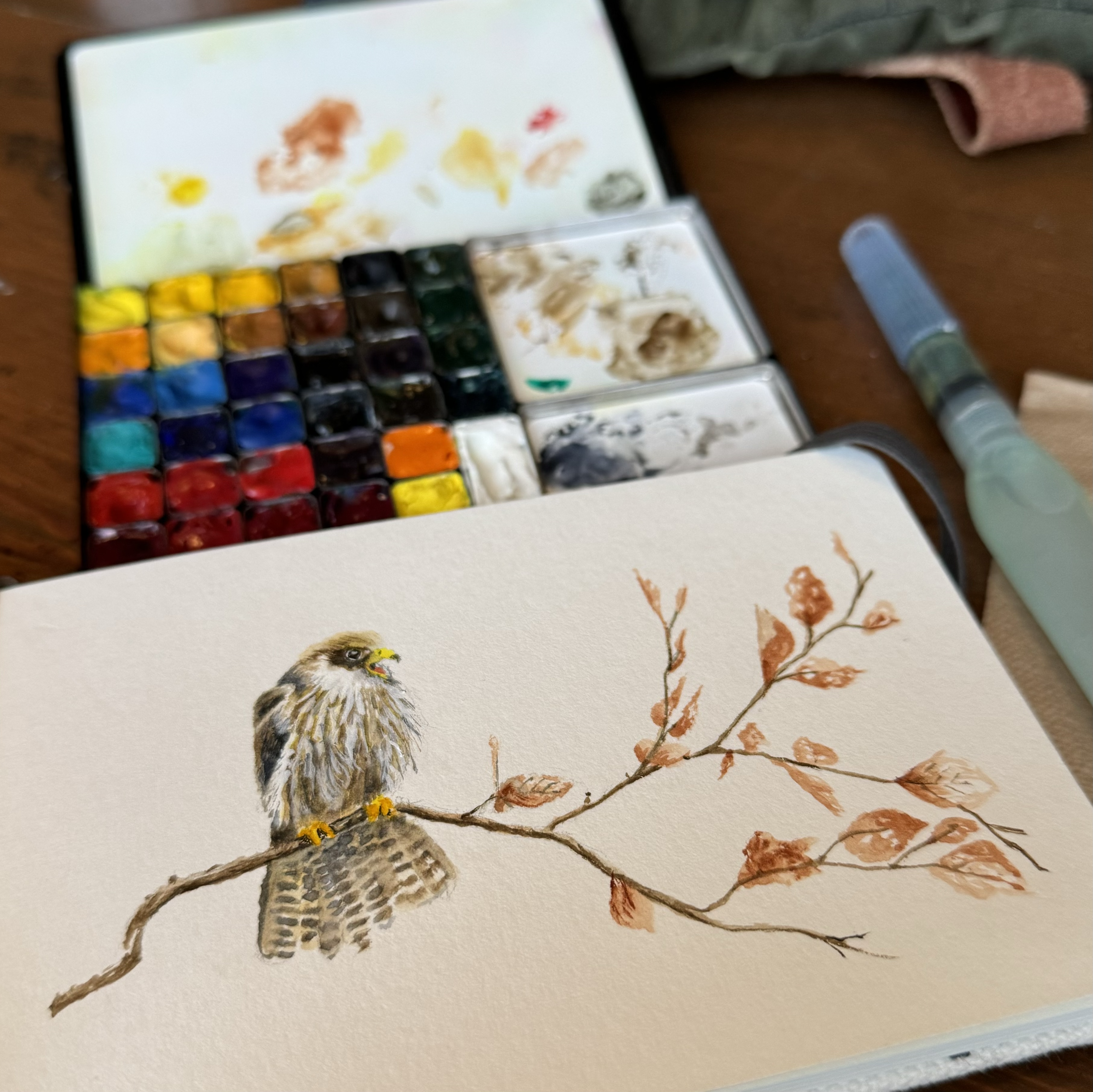 A red-footed falcon on a branch painted in a small sketchbook surrounded by an ArtToolkit palette and a Pentel water brush.
