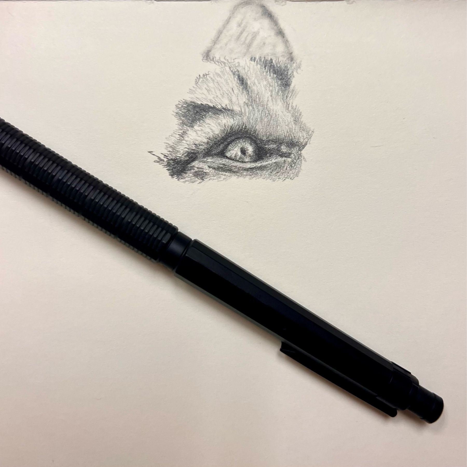 start of a tiger drawing including its ear and eye. pentel orenz nero pencil and a moleskine sketchbook