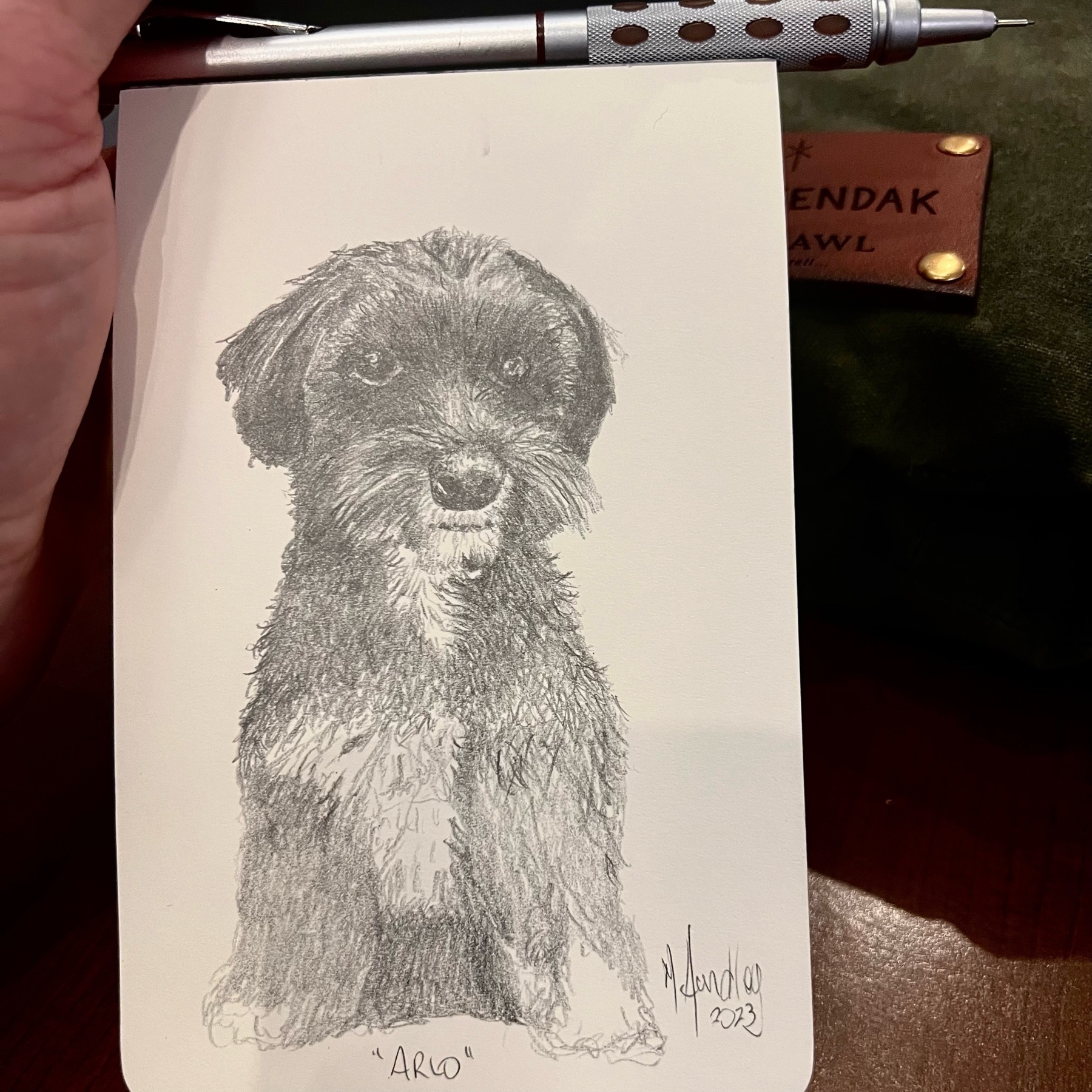 small sketch of a havanese in a seated position. pentel graphgear 1000 in frame. 
