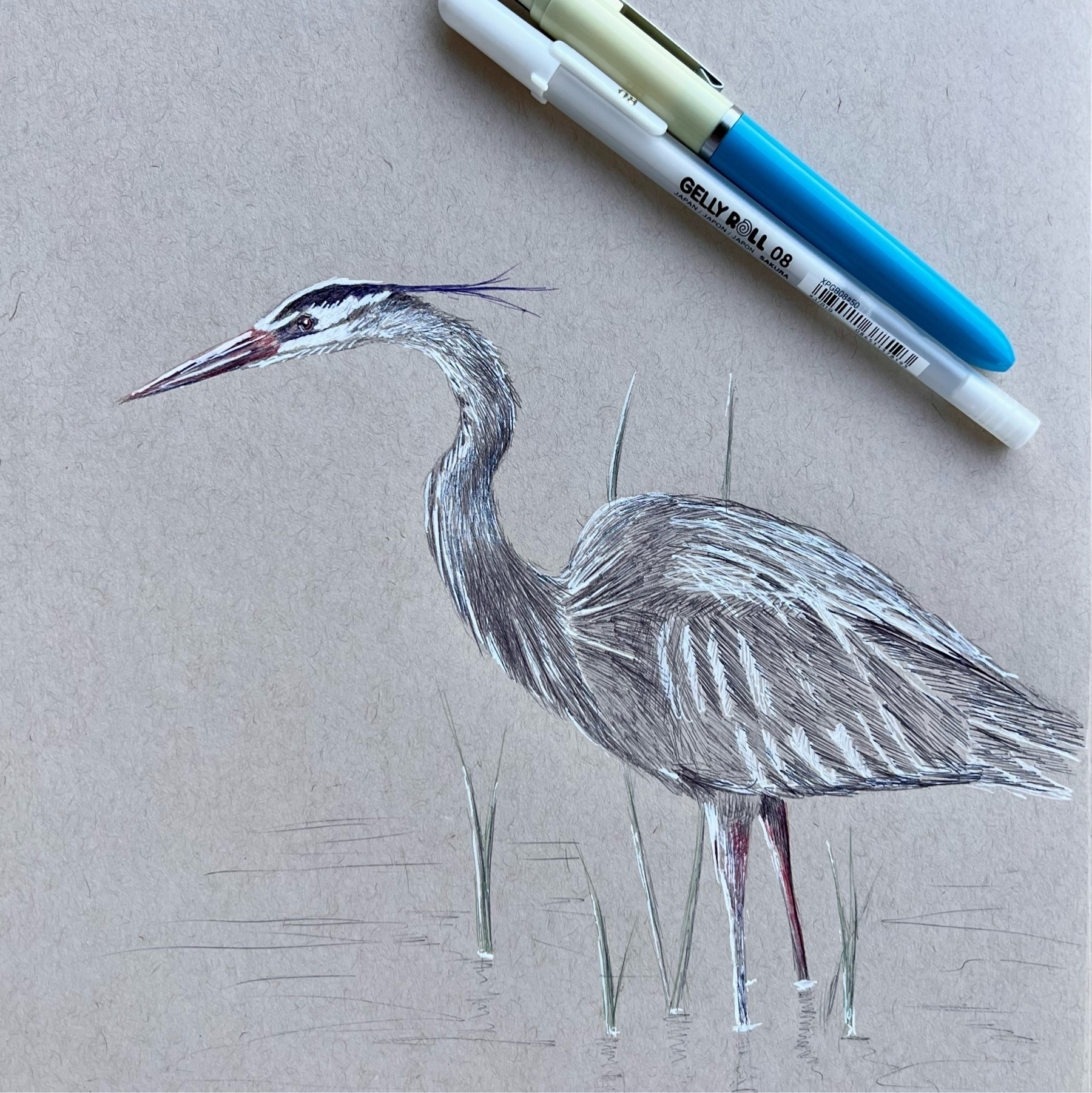 great boue heron sketched in ballpont using black, red and blue ink as well as white Gelly roll. sketched on strathmore toned tan paper. 