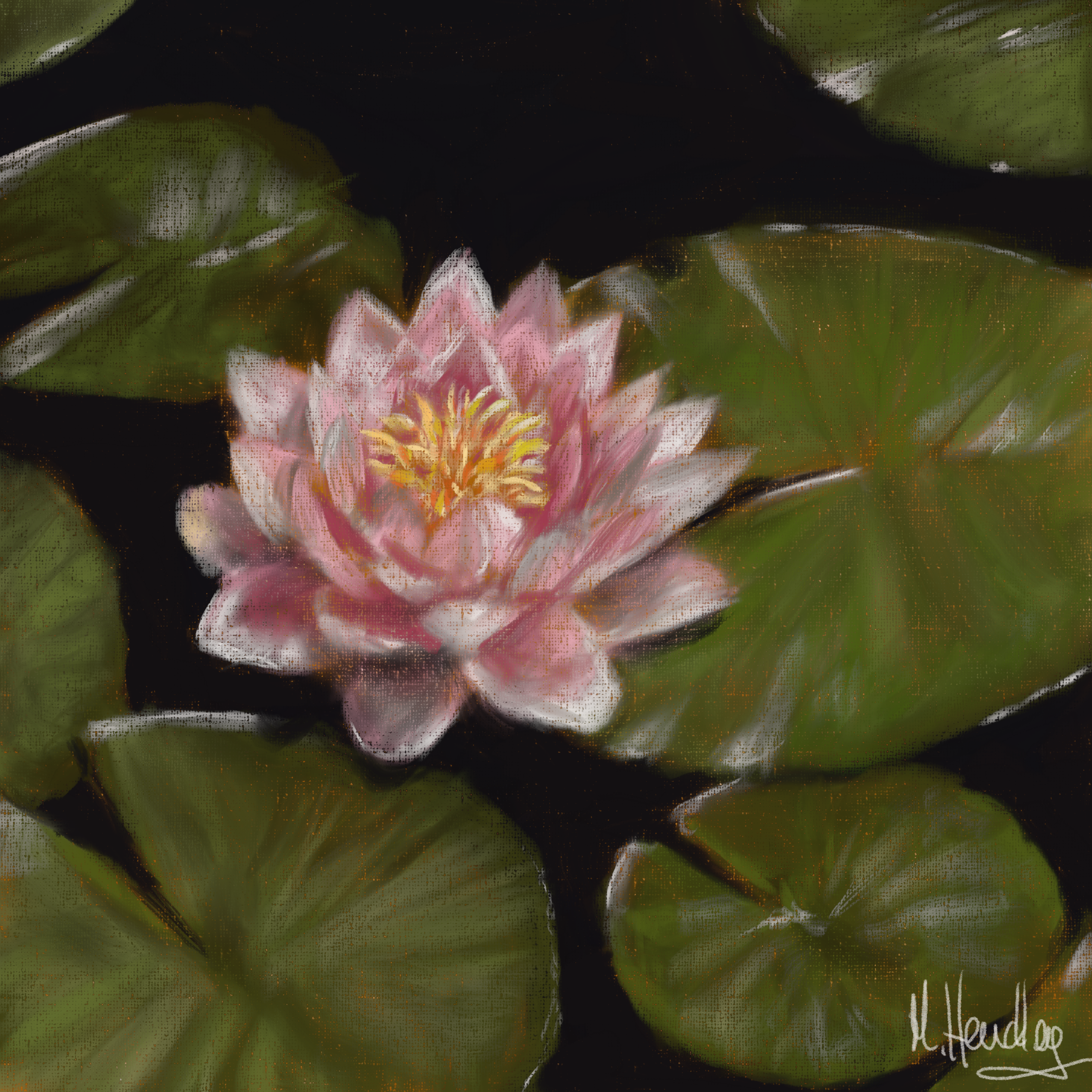 A digital painting of a lily flower and lily pads 