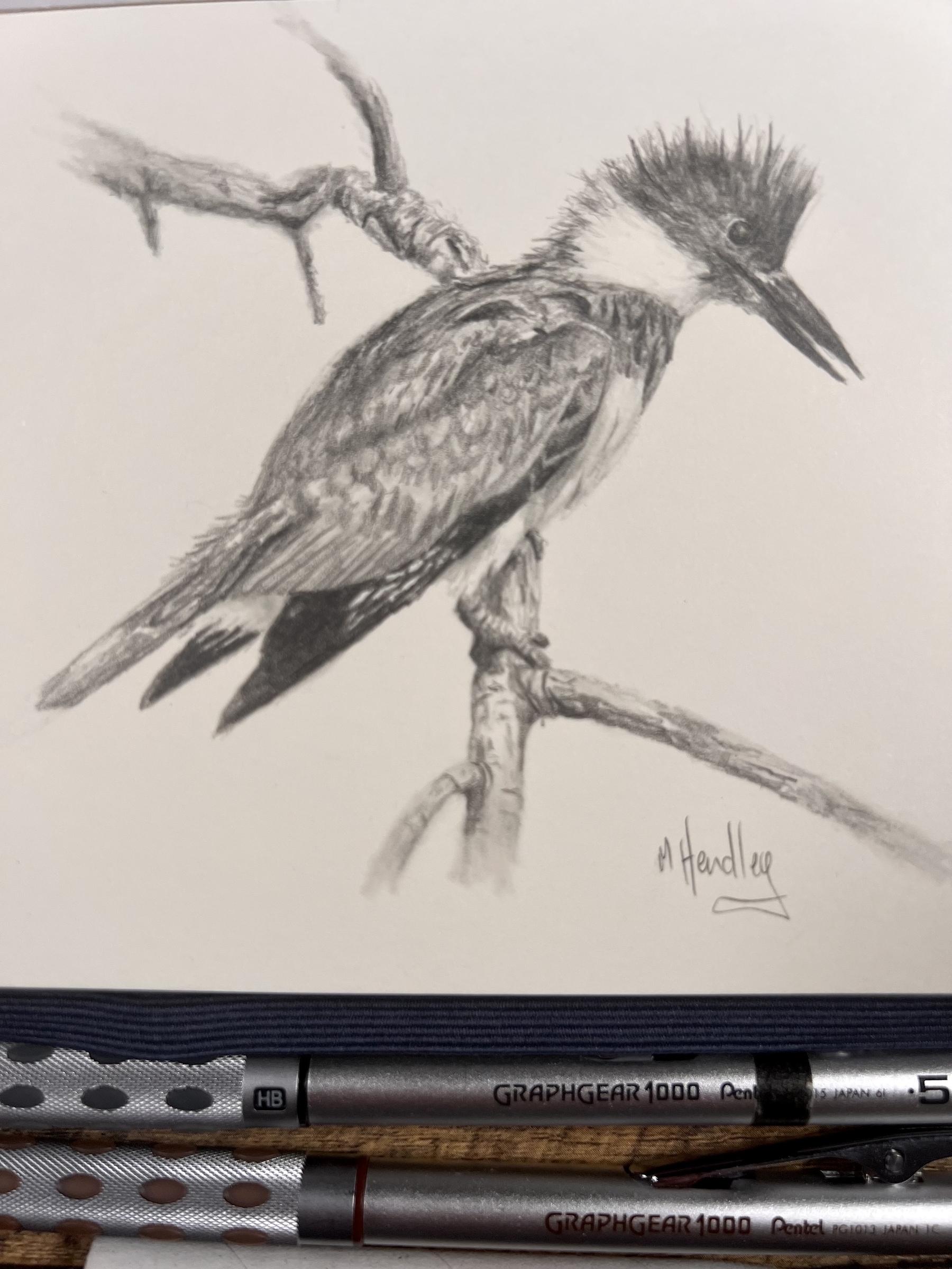 A drawing of a belted kingfisher sitting on a branch in a sketchbook with the pencils below. 