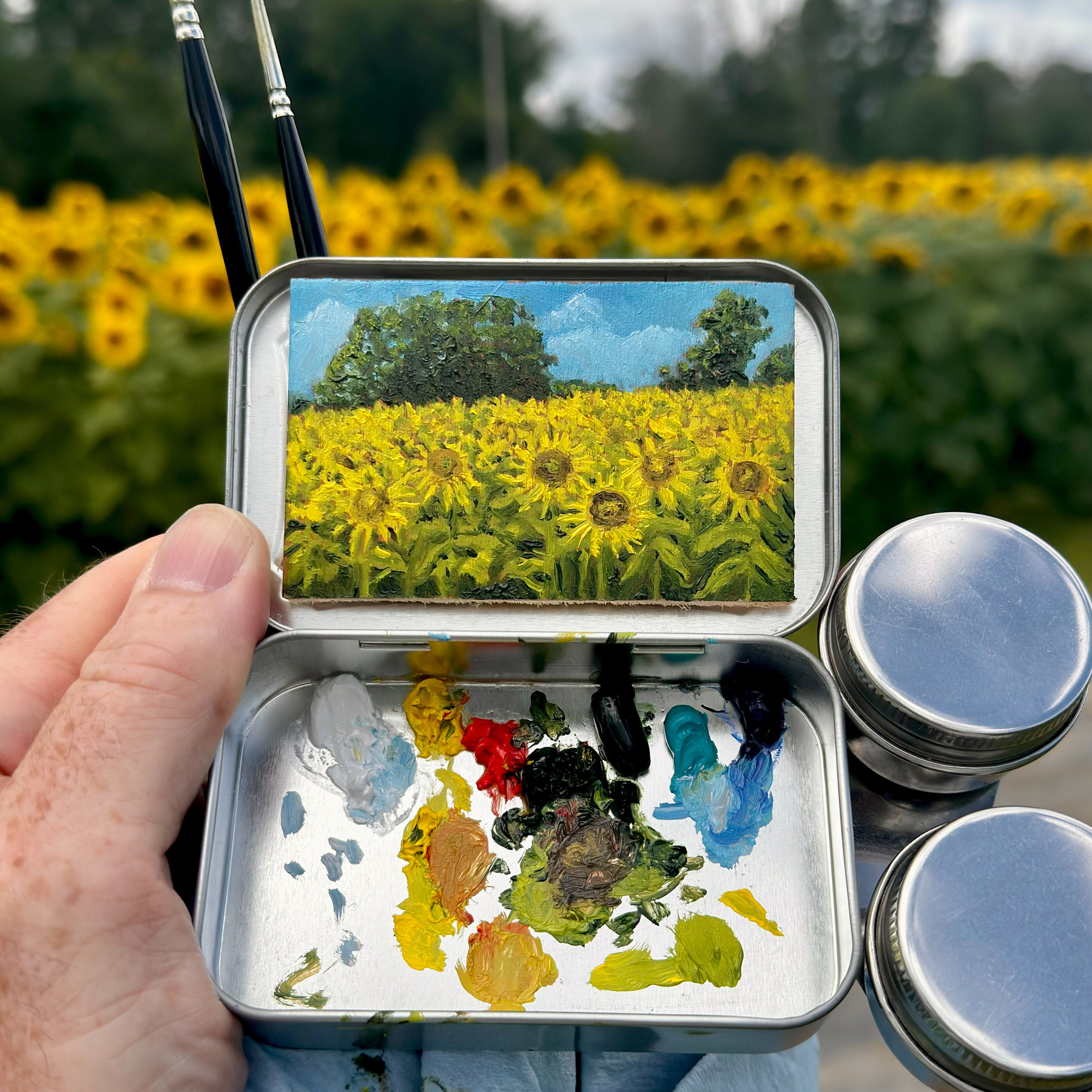 A close-up of a miniature oil painting of a sunflower field inside an Altoids tin, held by the artist. The painting features bright yellow sunflowers under a blue sky with fluffy clouds. Below the painting, a palette with dabs of various oil paints is visible. The scene behind the tin shows a real sunflower field, slightly blurred.