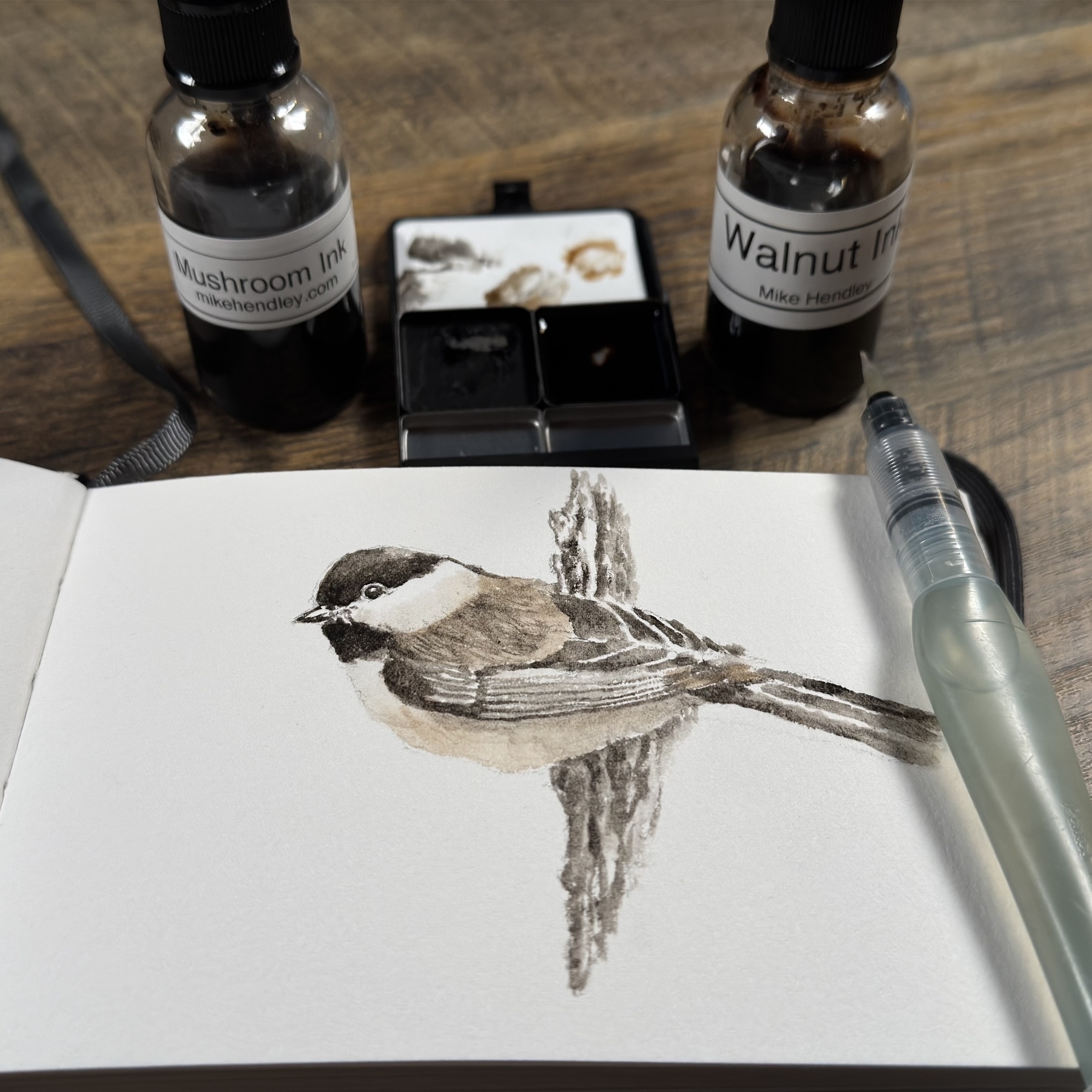 A drawing of a bird on a branch is surrounded by bottles of mushroom and walnut ink, along with drawing tools on a wooden surface.