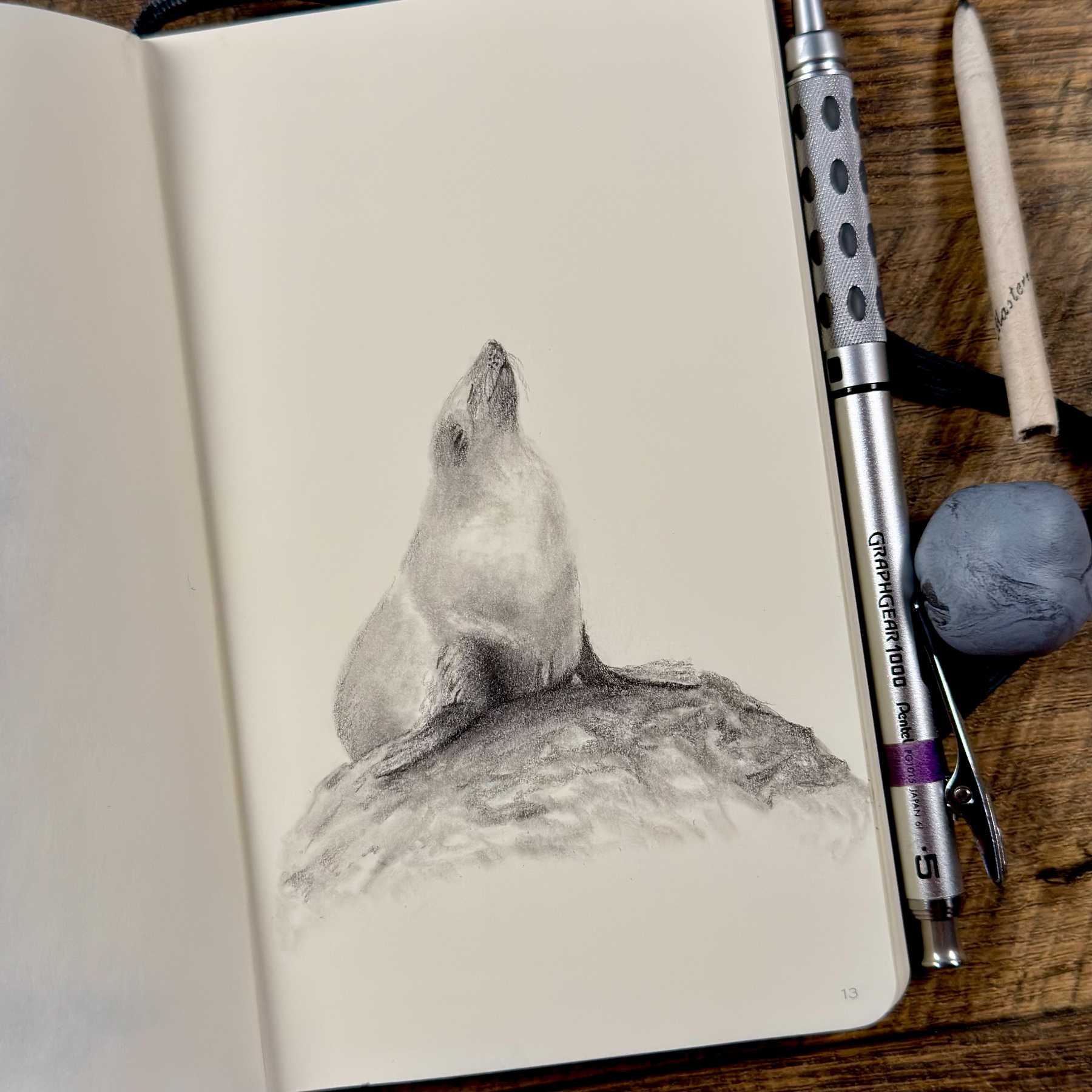 pencil sketch of a Cape Fur Seal sitting on a rock, drawn in a sketchbook. Tools visible include a Pentel GraphGear 1000 mechanical pencil, a blending stump, and a kneaded eraser.