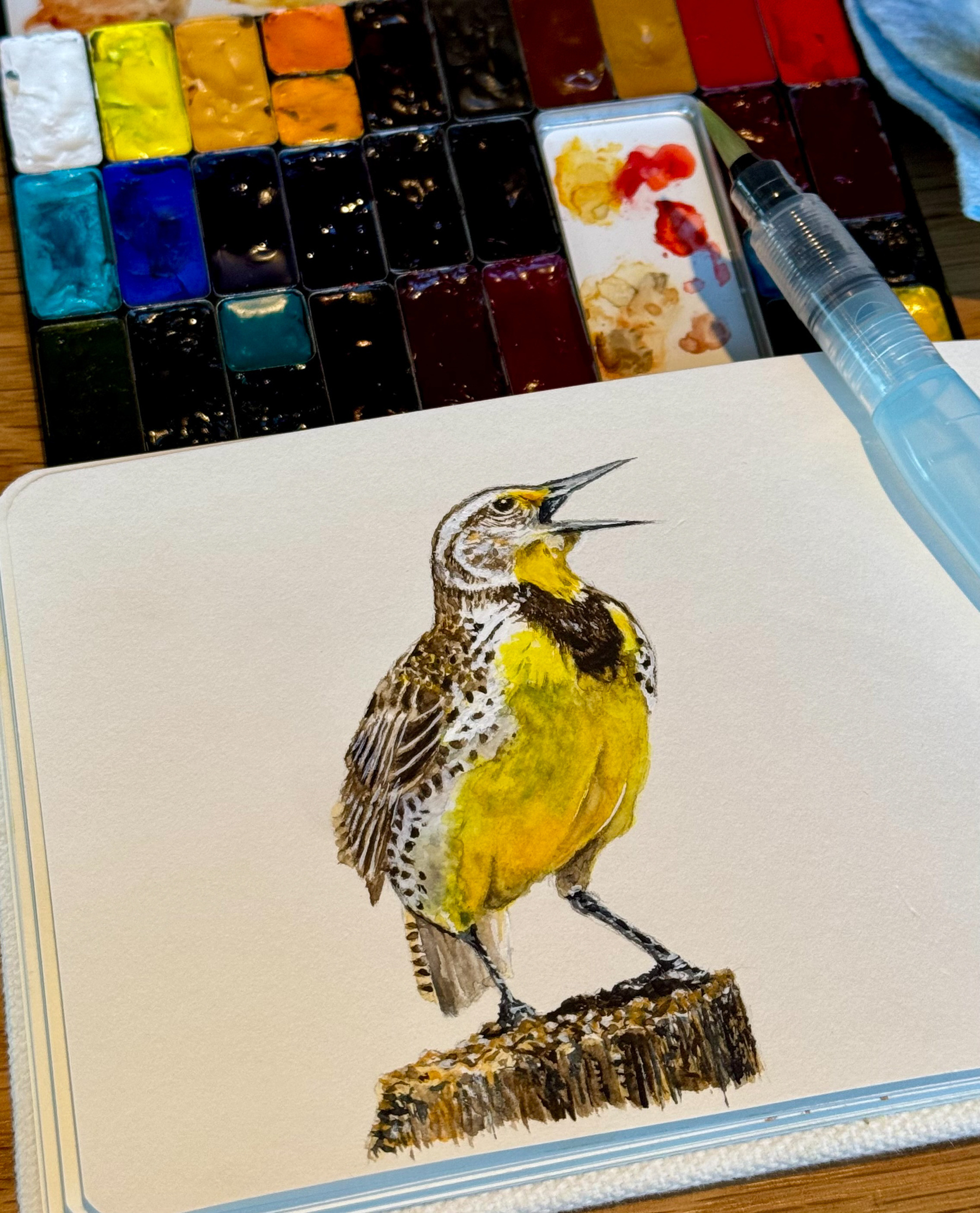 Watercolor painting of a Western meadowlark perched on a post, showcasing a vibrant yellow chest, dark markings, and brown speckled feathers. The artist’s hand is visible holding the artwork.