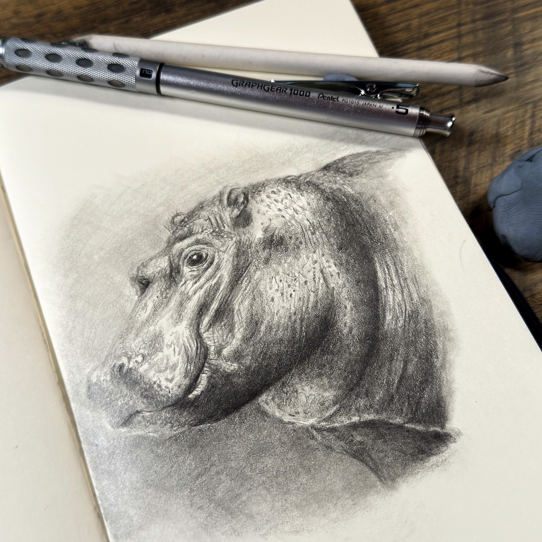 Detailed pencil sketch of a hippopotamus' head on paper, with a mechanical pencils resting above. The artwork captures the texture of the hippo's skin and its calm expression.