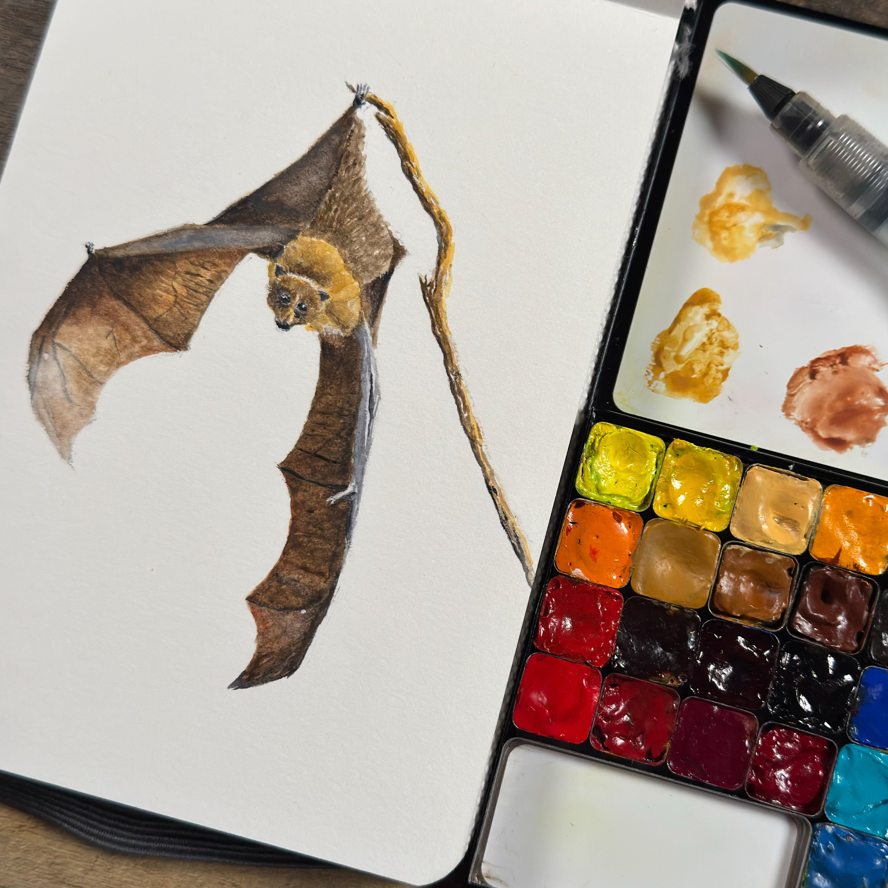 Watercolor painting of a fruit bat with wings spread, next to a watercolor palette and a Pentel aqua brush.&10;