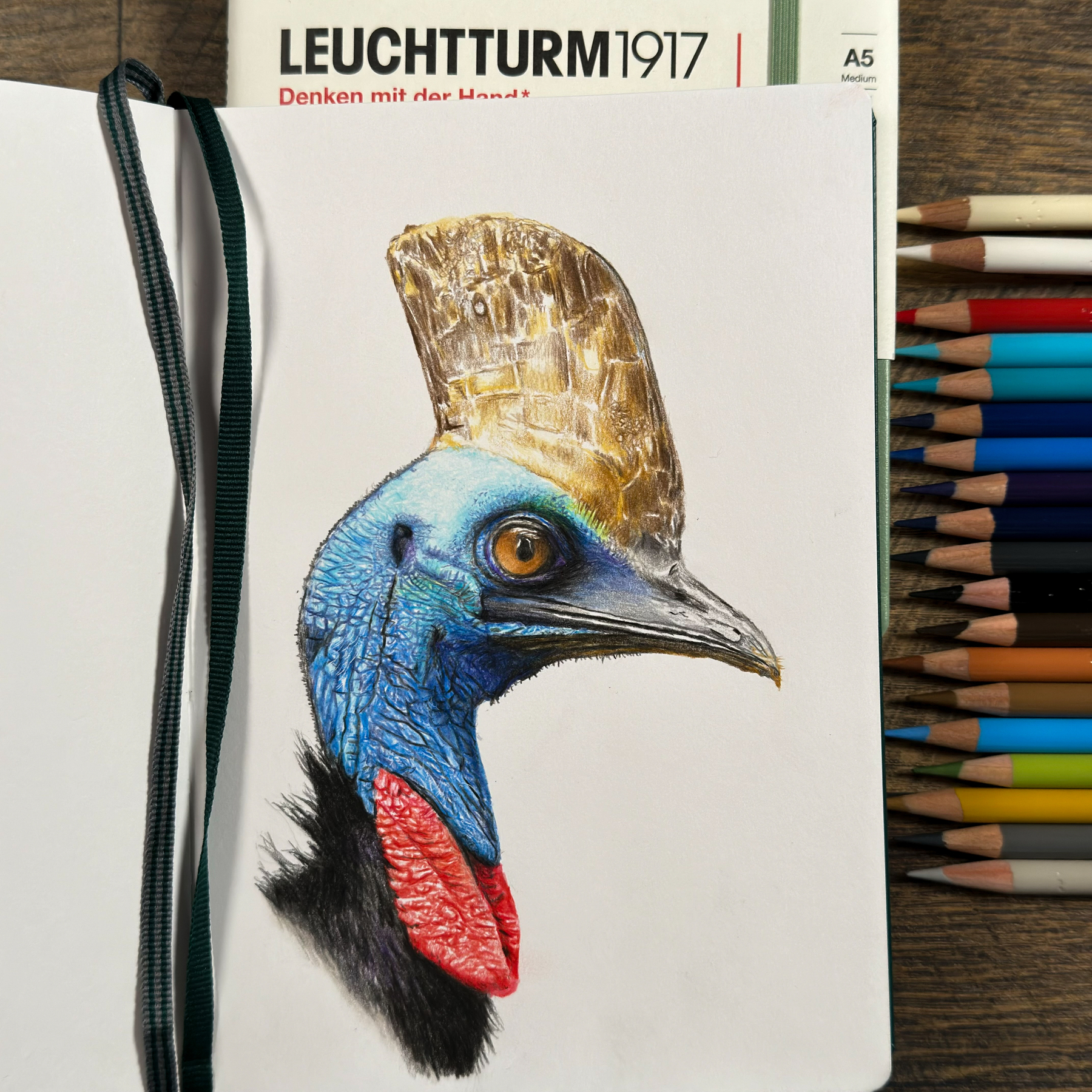A detailed colored pencil drawing of a Cassowary bird in a Leuchtturm notebook. The bird features a striking blue head, a brown casque, and vivid red wattles, with two colored pencils beside the drawing.