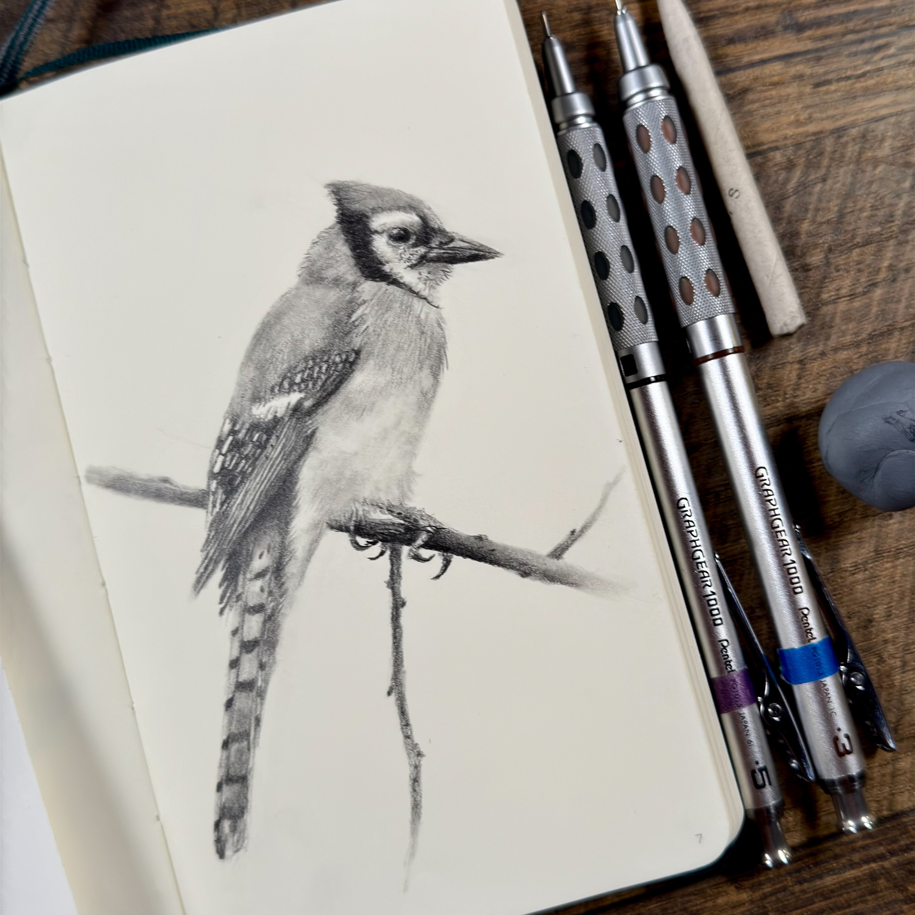 Graphite drawing of a blue jay perched on a branch in an A6 Leuchtturm sketchbook, showing fine detail in the feathers and realistic shading.