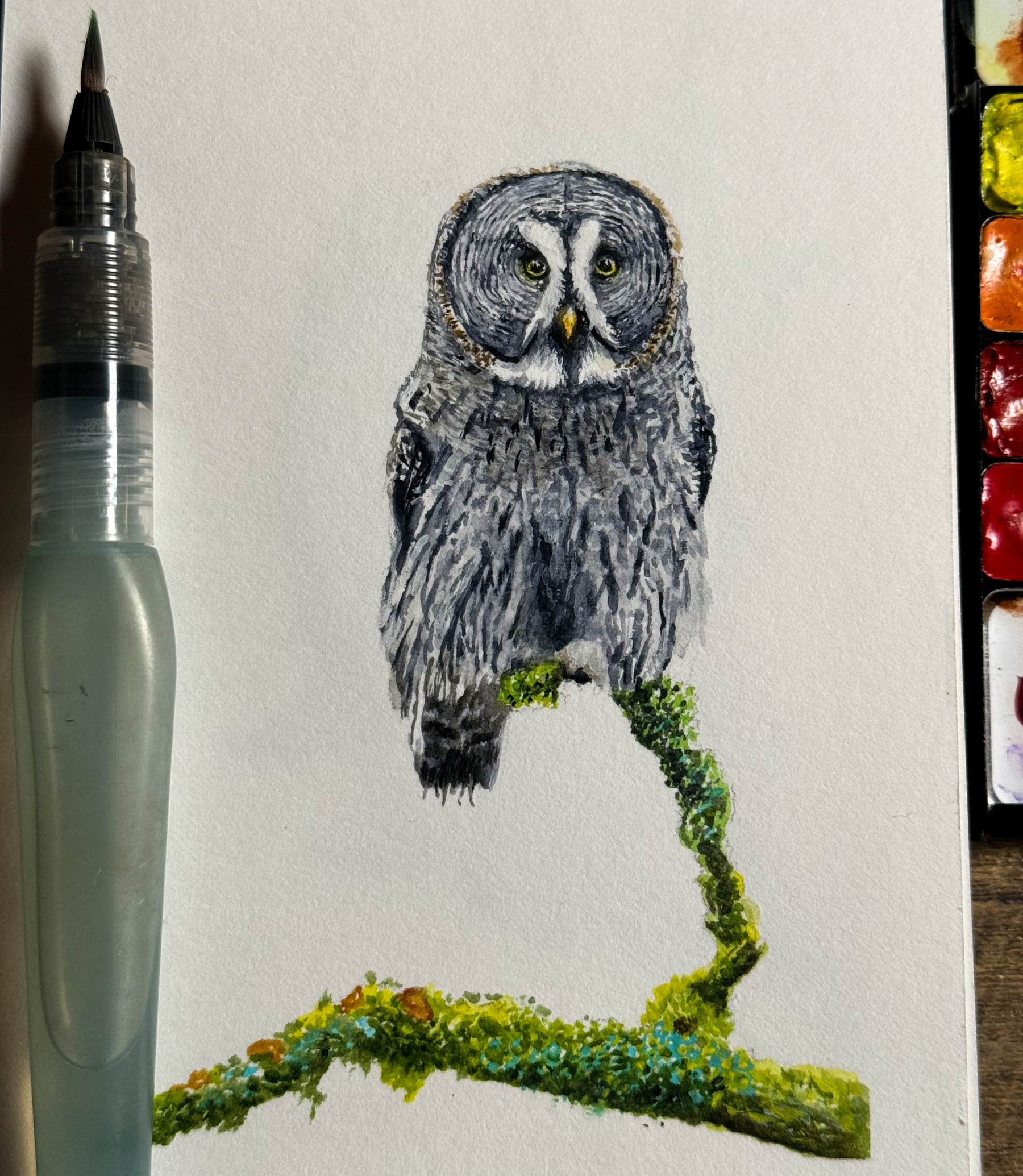 Watercolor painting of a grey owl perched on a green, mossy branch.