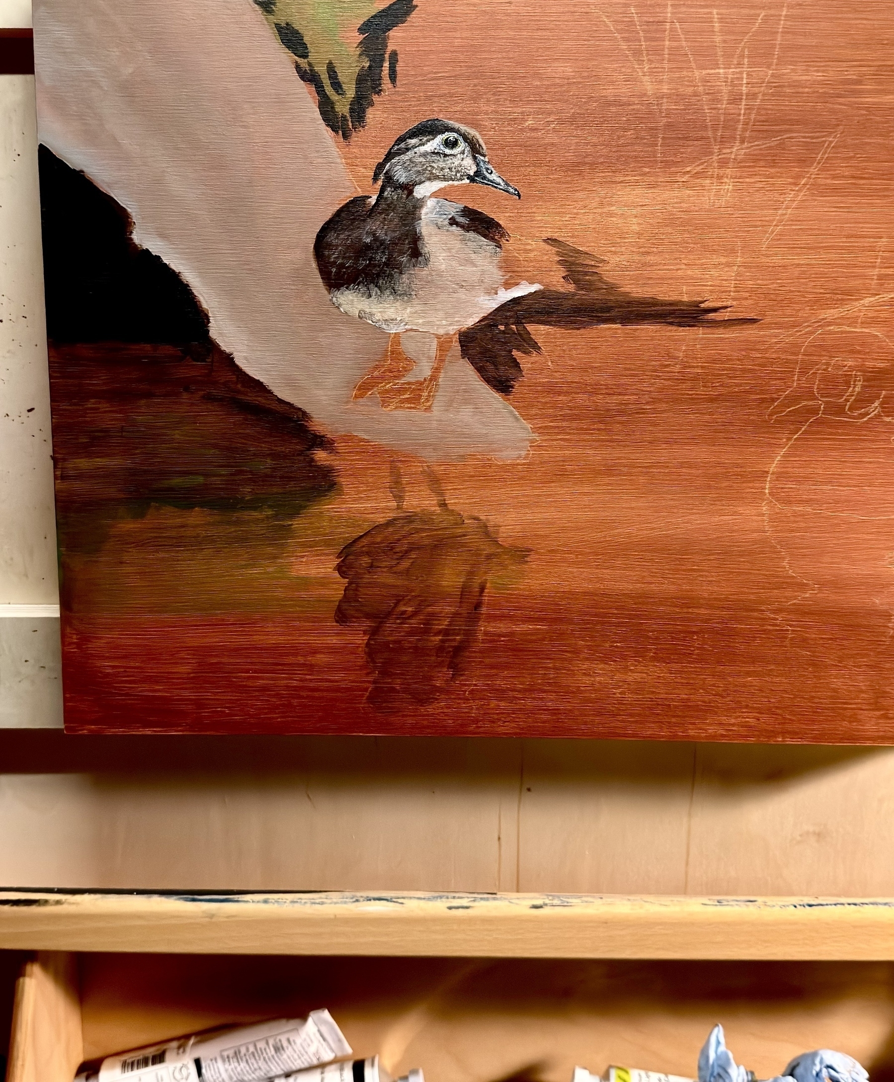 A start of a painting of a female wood duck