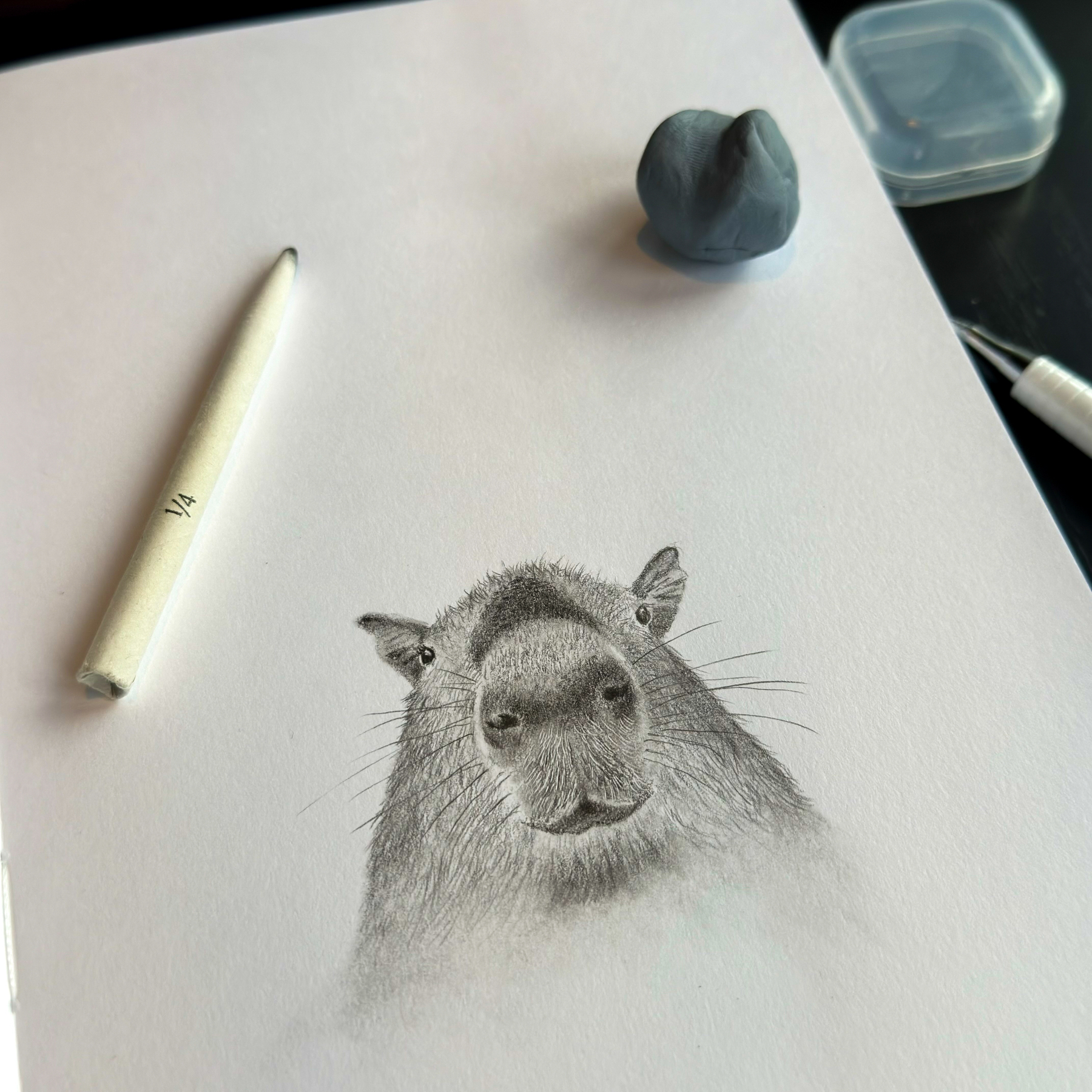 A detailed pencil sketch of a capybara on an A4 sketchbook page, accompanied by drawing tools.