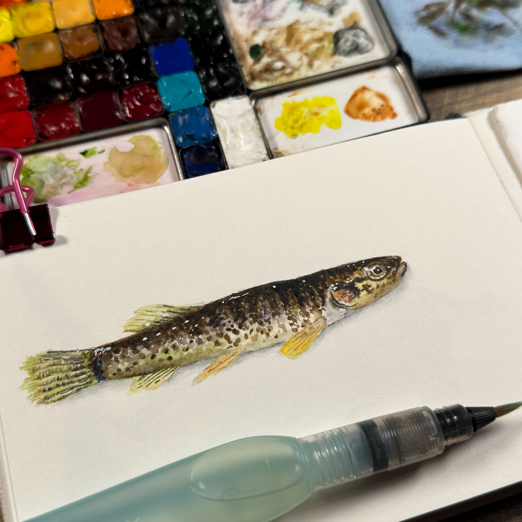 Watercolor painting of a fish on a sketchbook next to a palette of vibrant watercolors