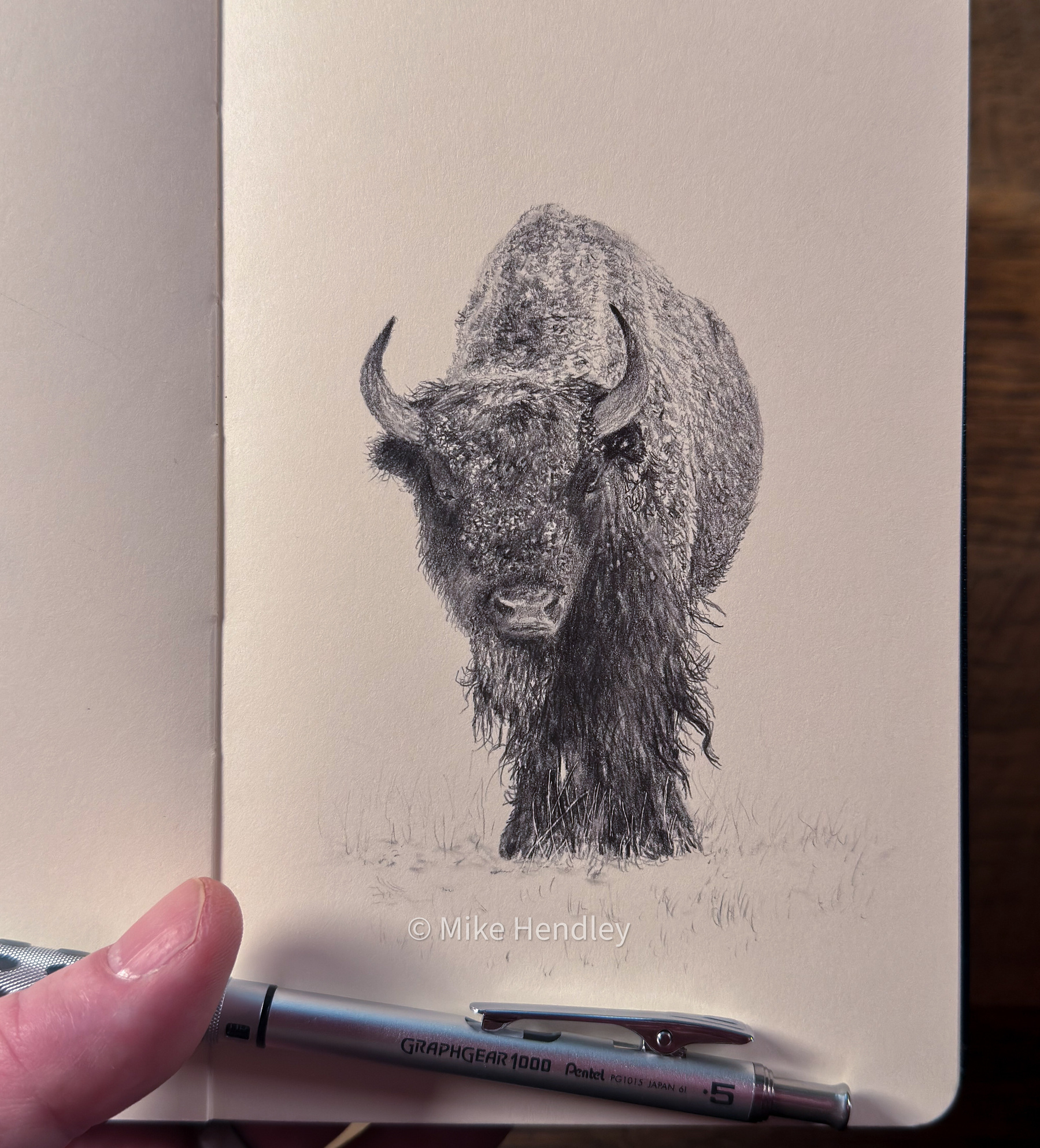 A detailed pencil drawing of a bison with a dense, shaggy coat, visible in its textured shading. The bison's head is facing forward, with its two curved horns framing a serene expression. The artwork is on a tan-colored page in a sketchbook, and there's a Pentel Graphgear 1000 mechanical pencil placed at the bottom for scale.